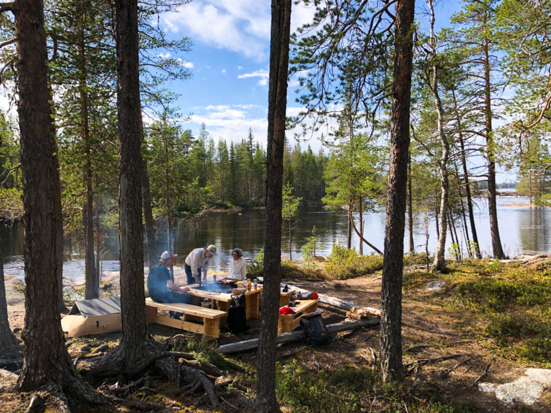 Mårdselforsens naturreservat