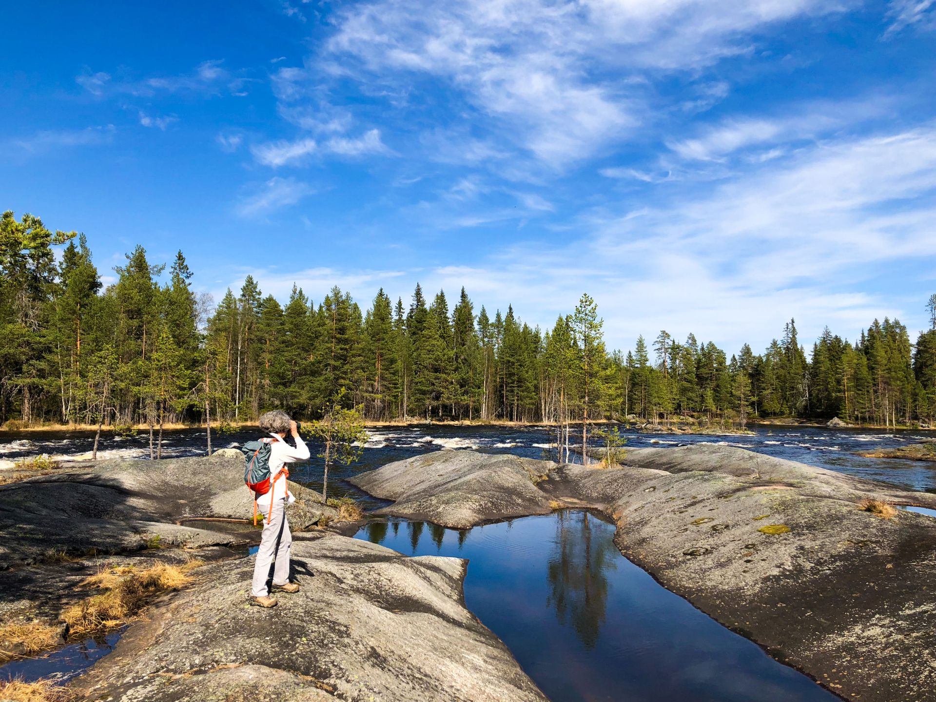 Mårdselforsens naturreservat