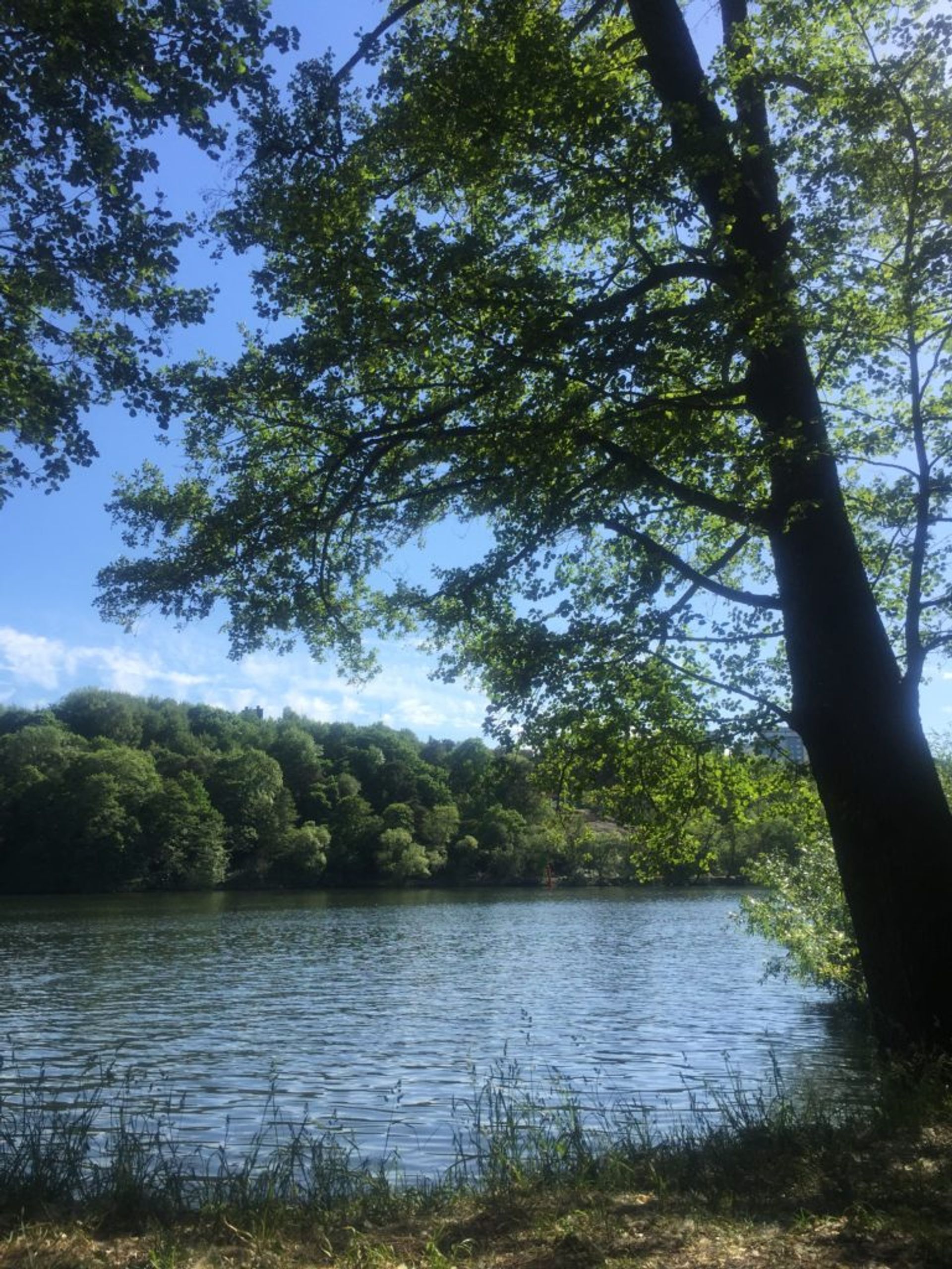 This is the water in Stockholm in the summer. How magic!