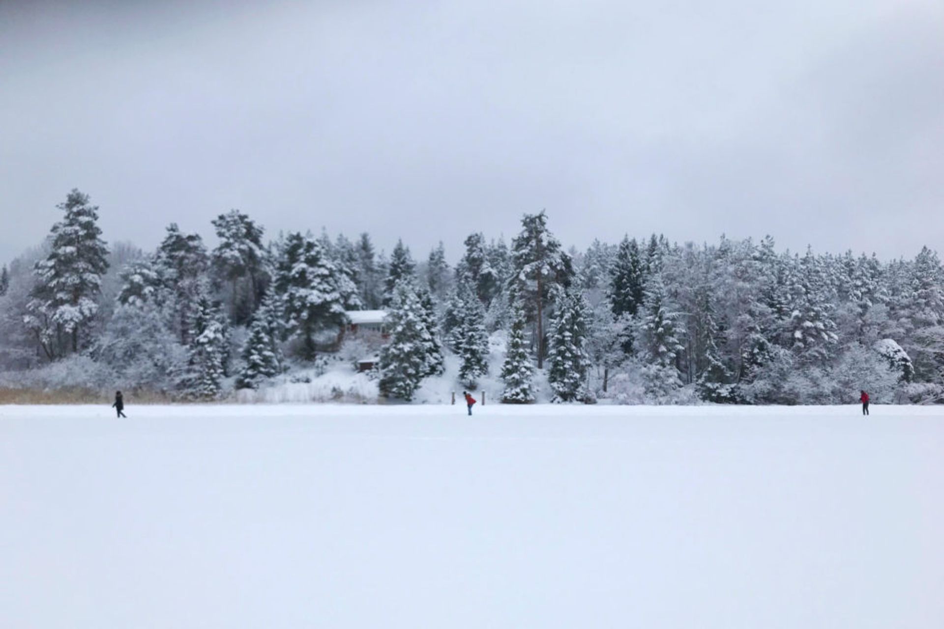 Photo: Usisipho // Fjällnora in the winter 