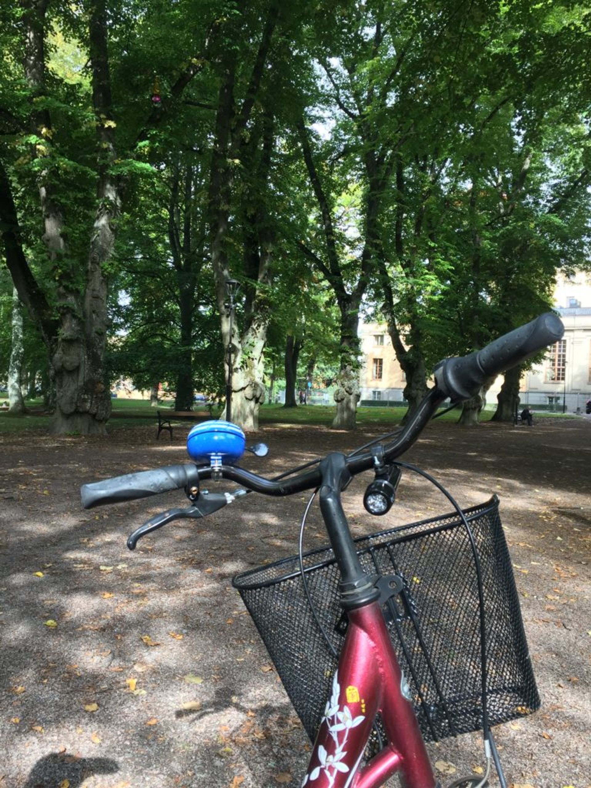 My bike, customised with a big bell I bought on a student group