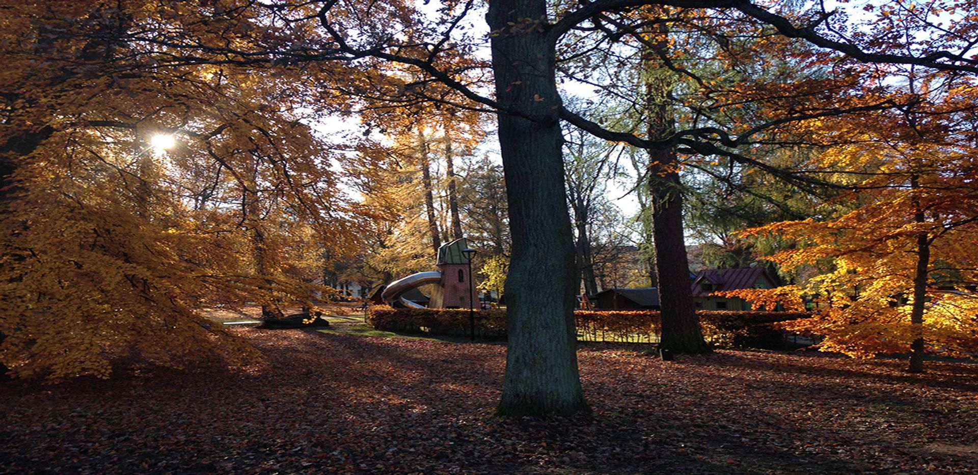 Uppsala in Autumn