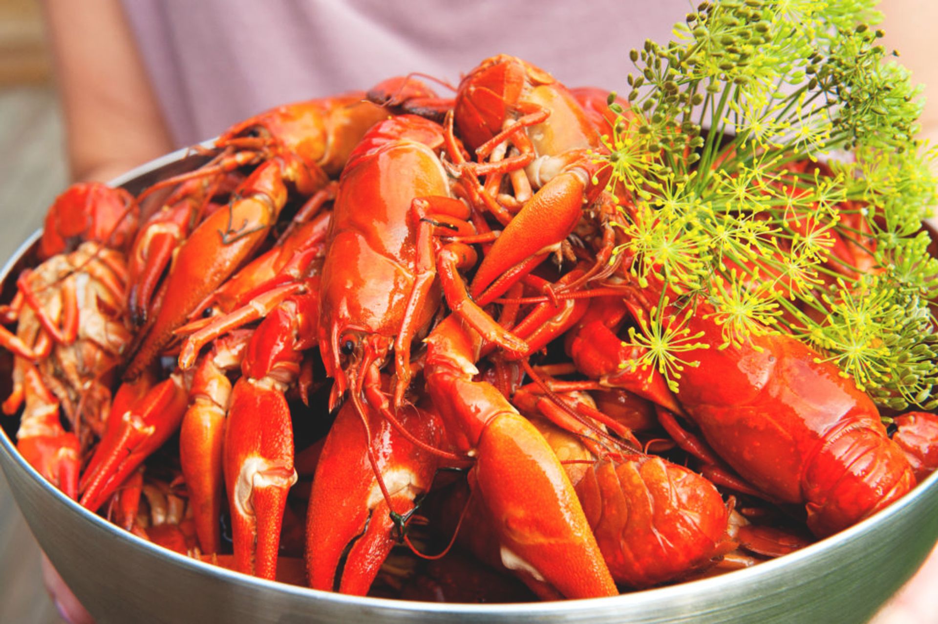Close-up of a bowl of crayfish.