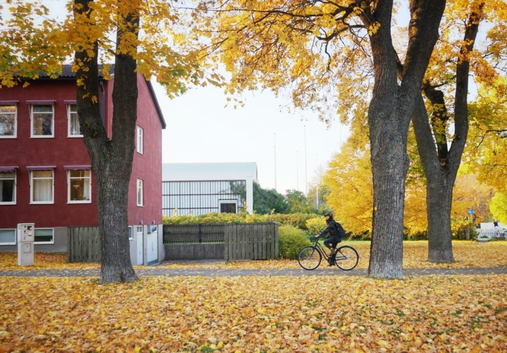 autumn-uppsala