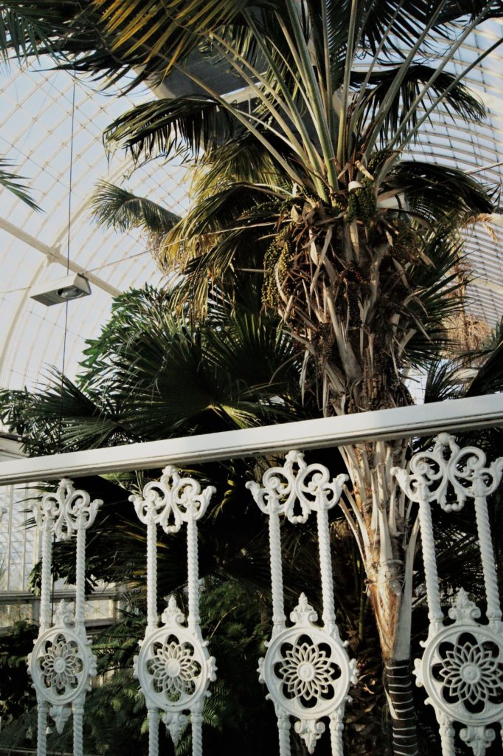 Top floor balcony in the Palmhouse/ Credit: Katharina