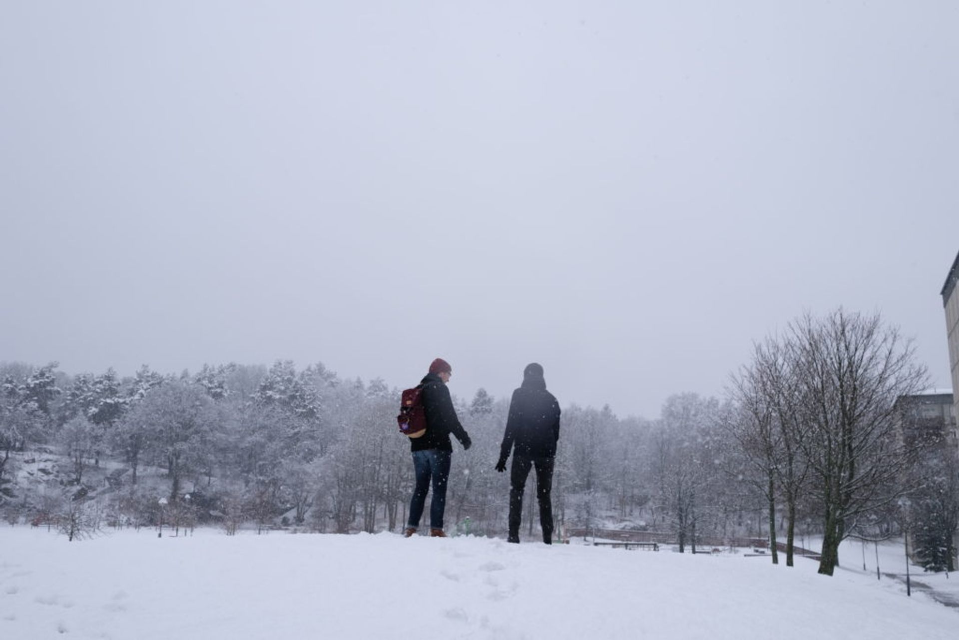 People walking in the snow