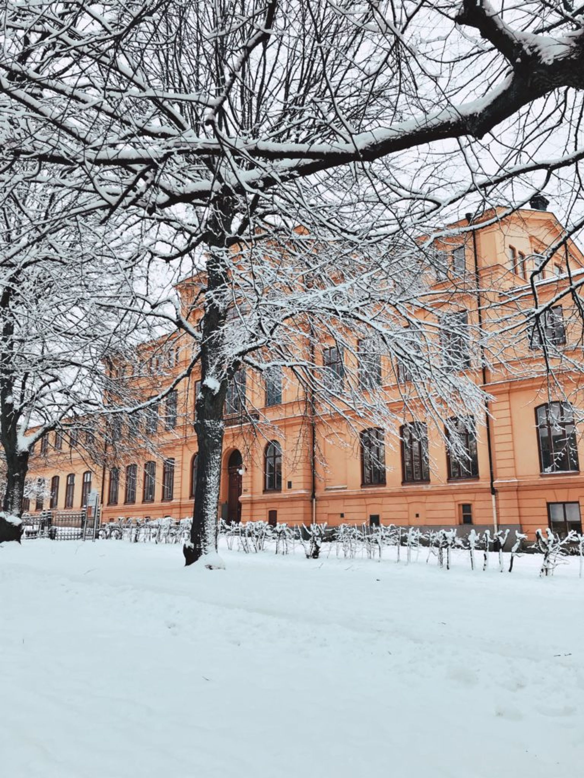 A building on campus covered in snow.