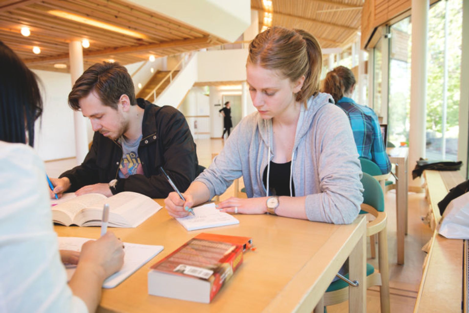 Students sitting at a desk studying.