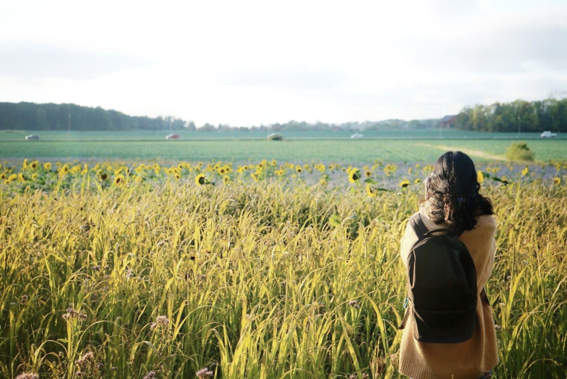 A woman from behind looks out at a meadow full of oats.