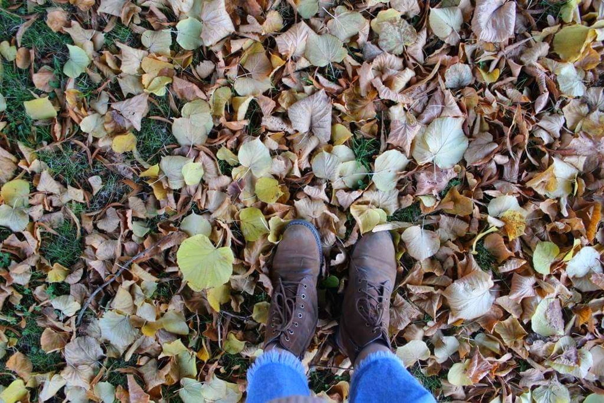 Photo taking from above of the ground full of autumn leaves and two feet with brown boots.