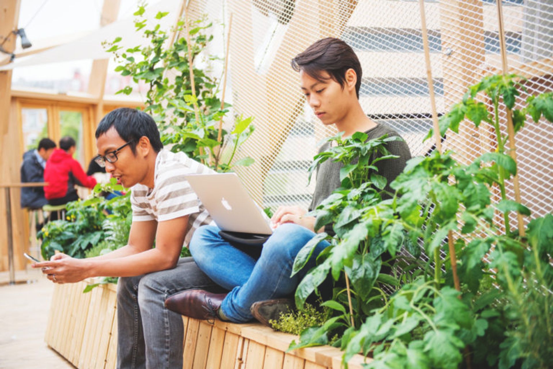 Two students studying.