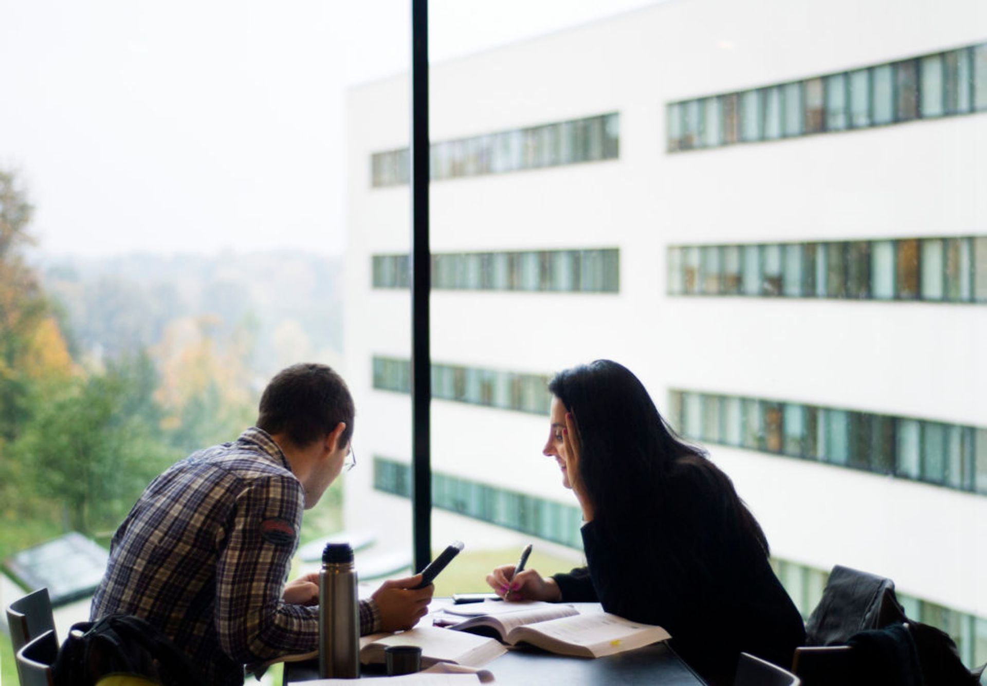 Two students studying together.