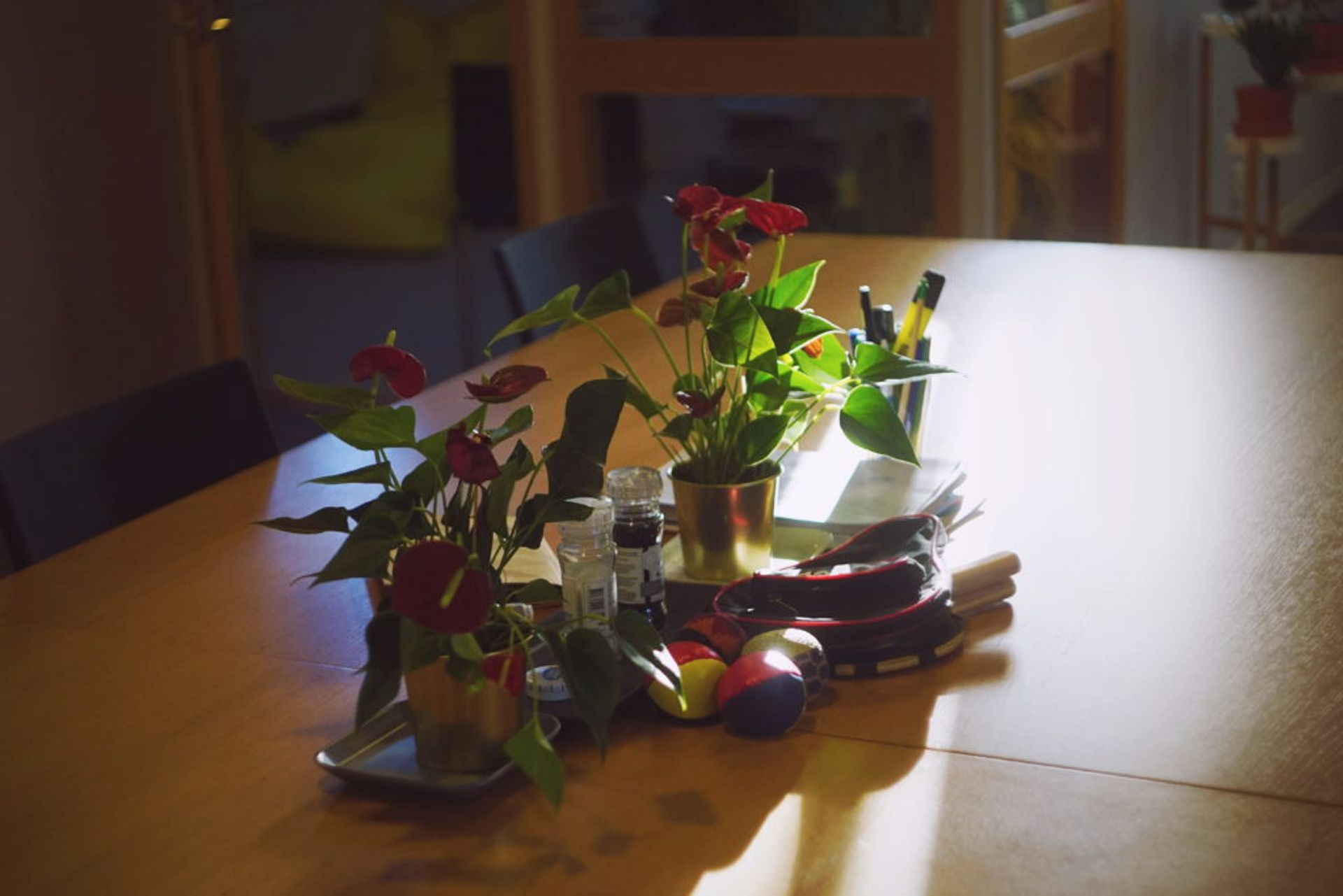 Ping Pong utensil next to plants.