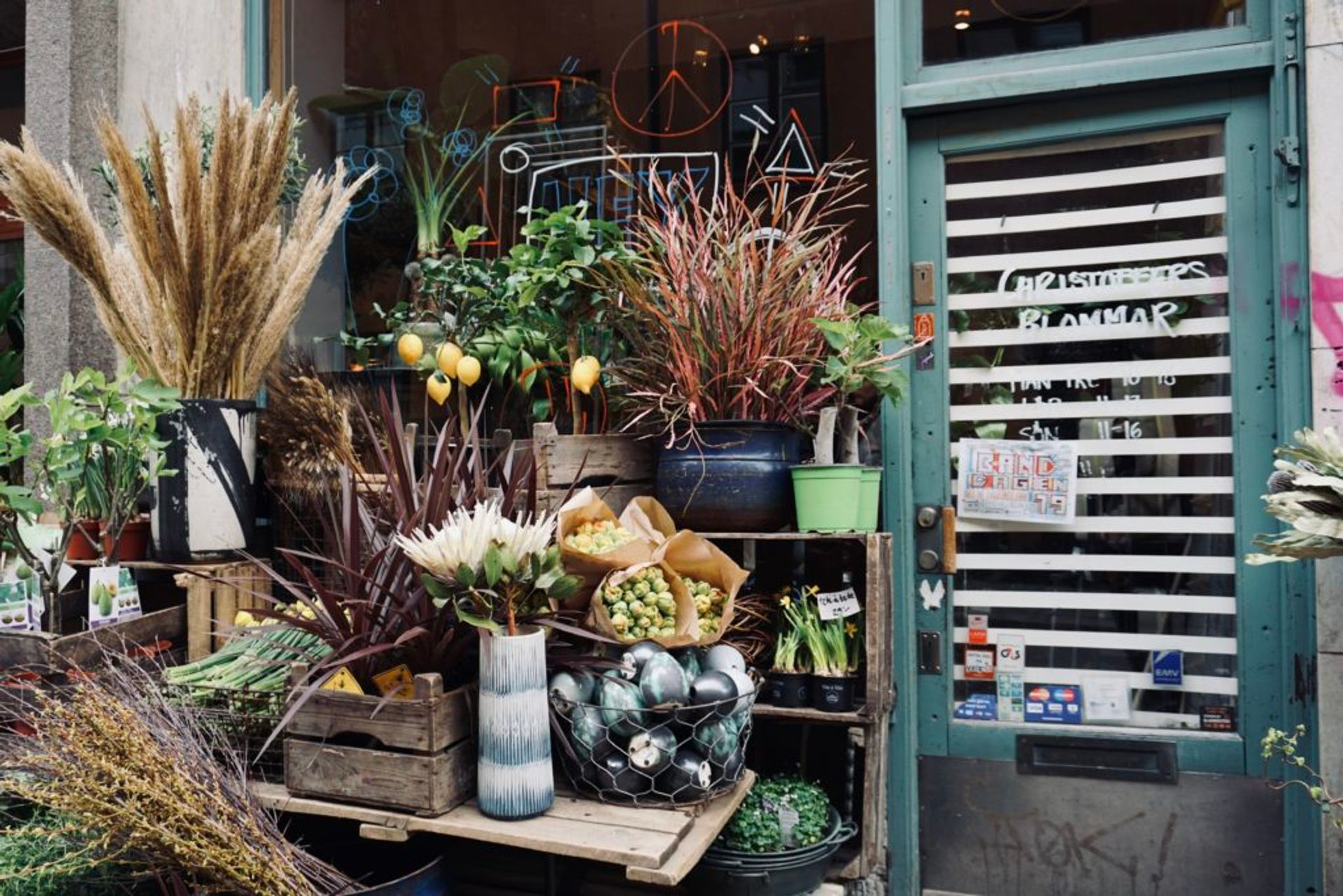 Flowers and plants outside of a flower shop.