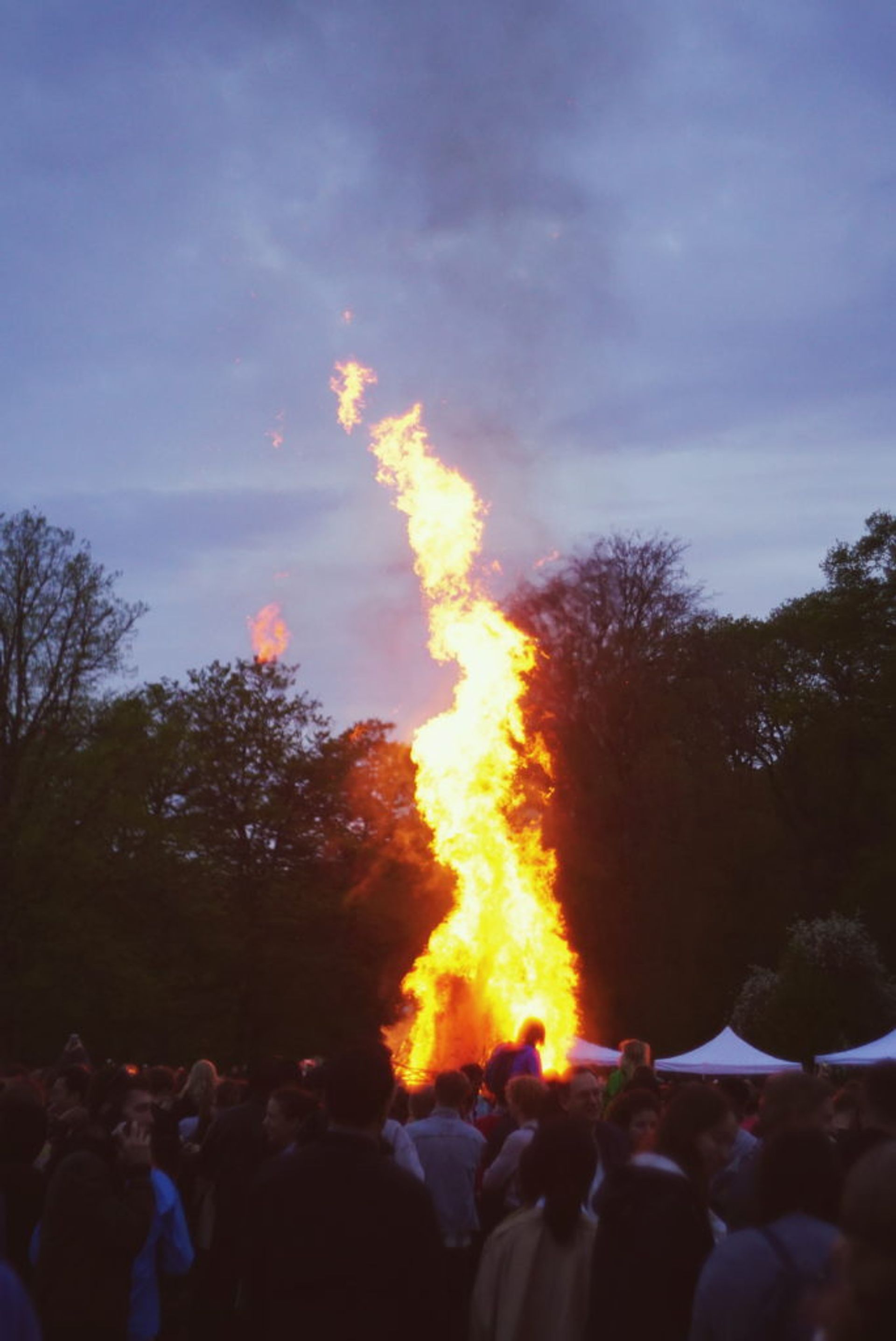 A large crowd of people standing around a bonfire.