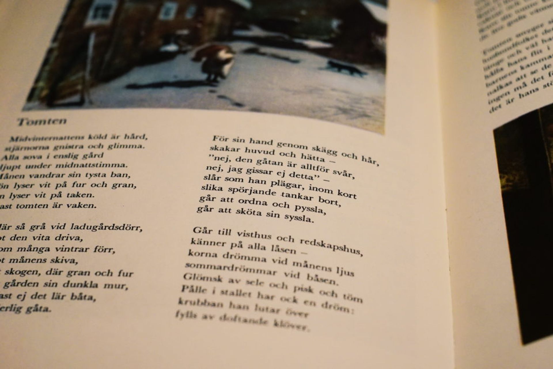 Close-up of a book written in Swedish.