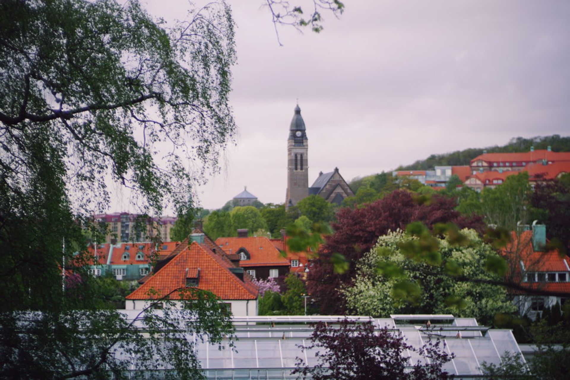 A view of a church spire and other buildings from a park.