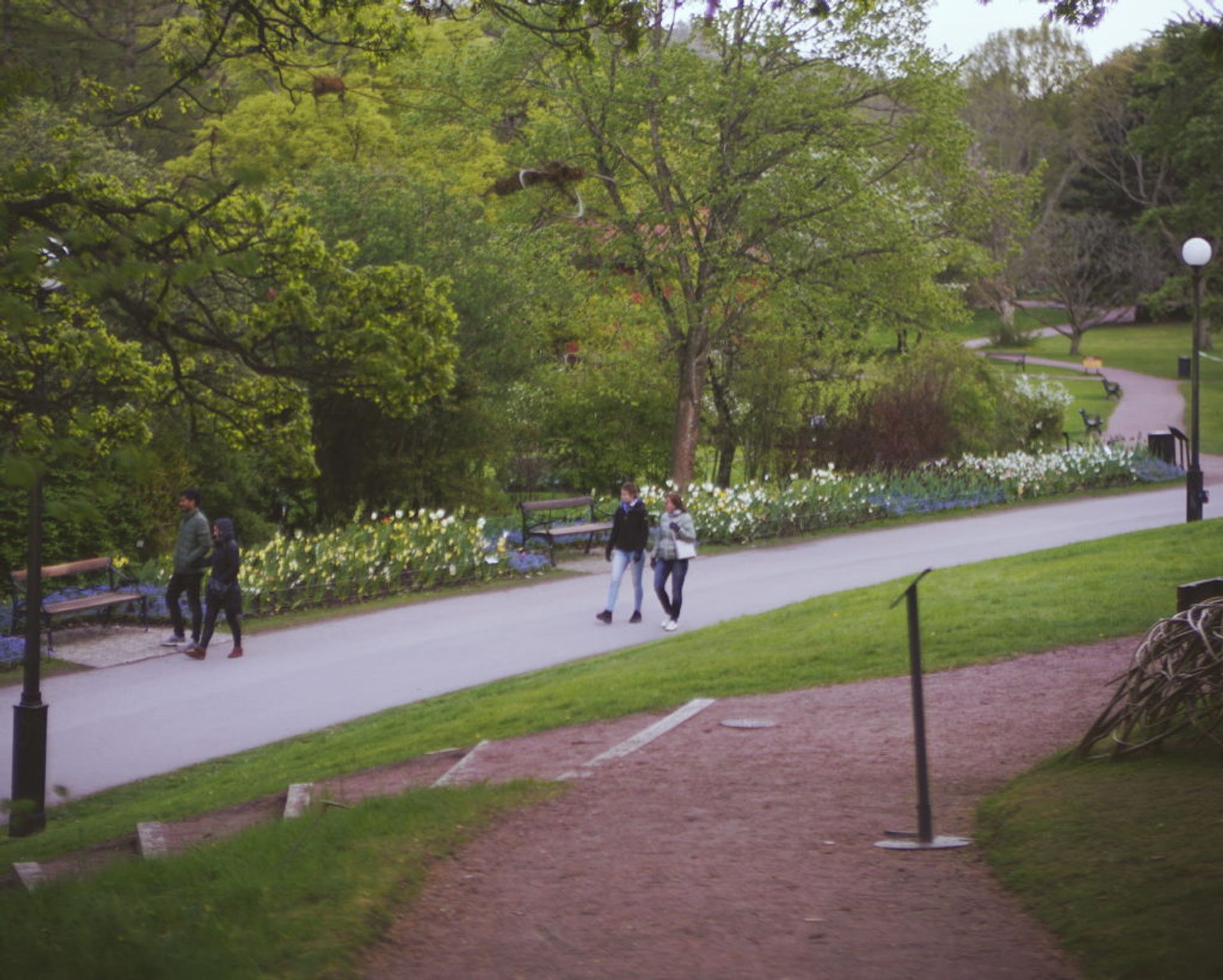 People walking through a park.