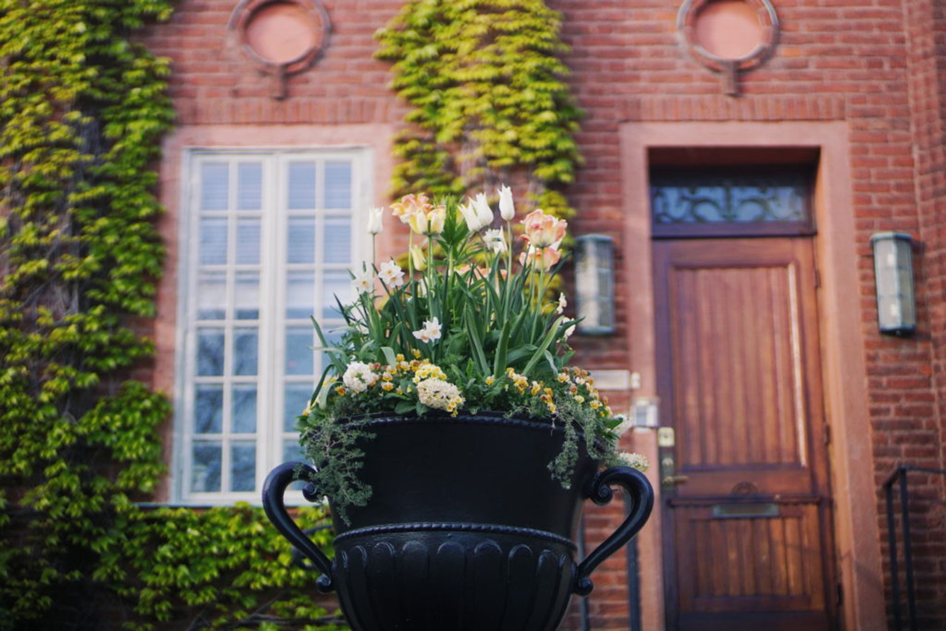 Close-up of a flower pot.