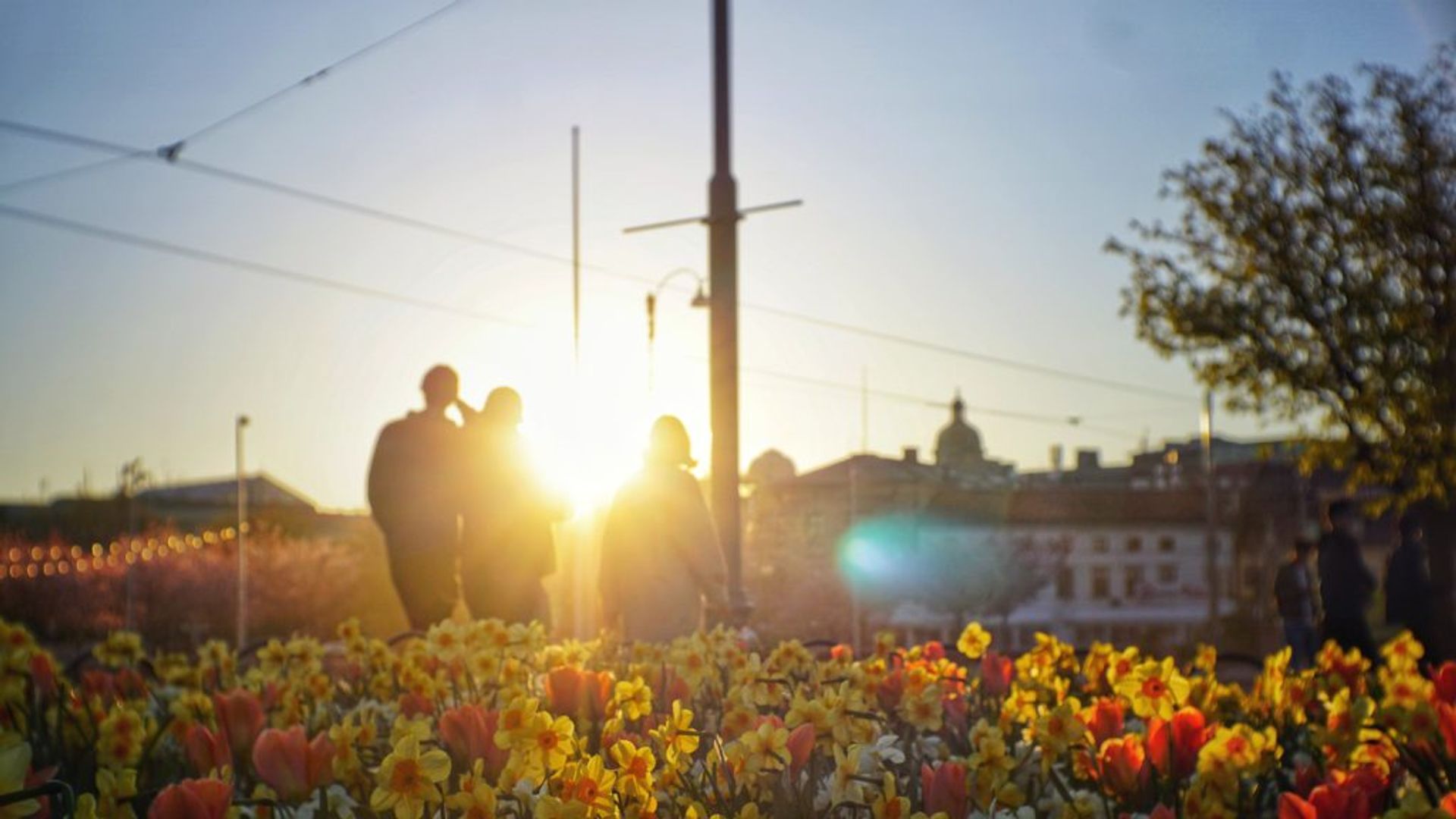 People walking past flowers in a park.