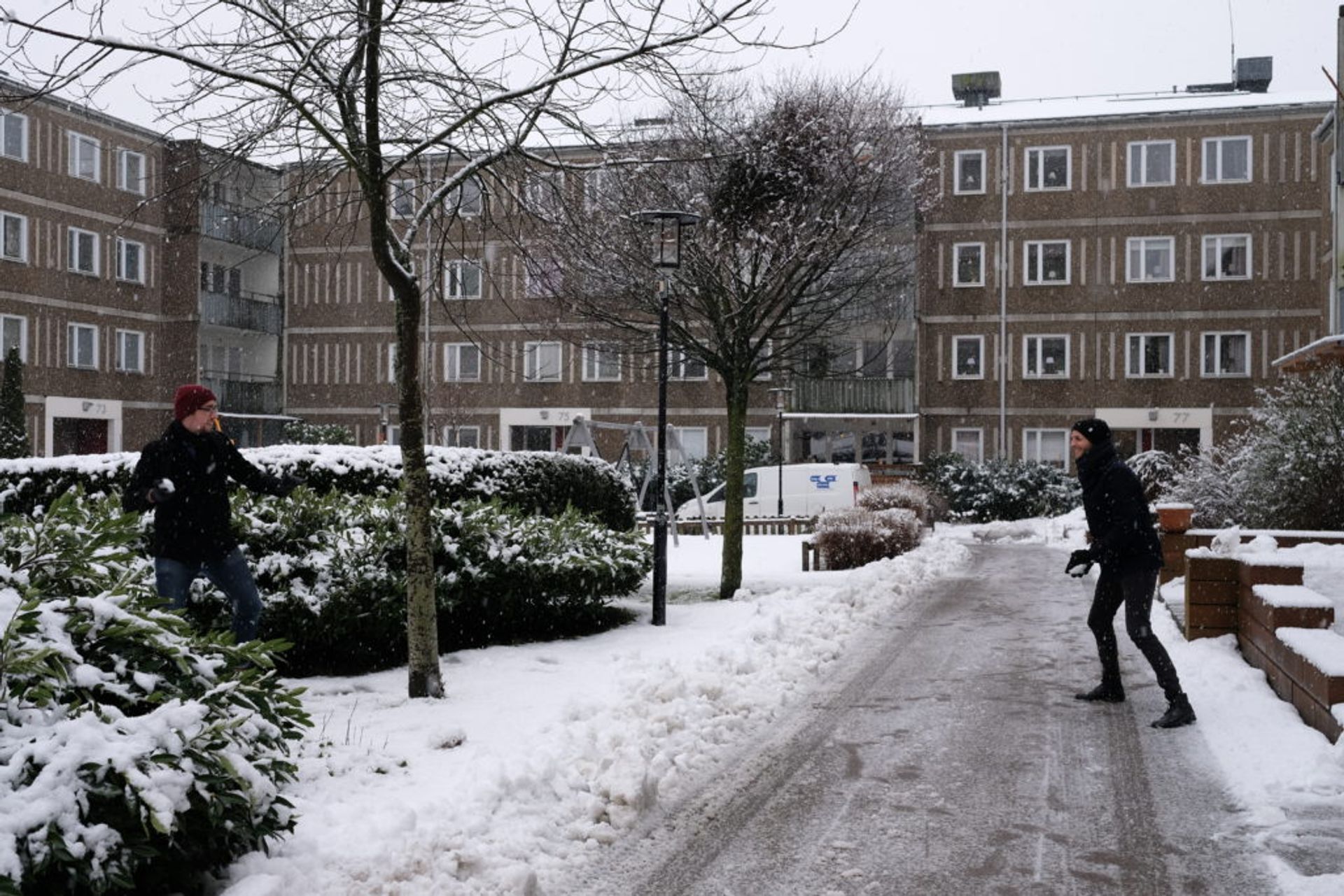 People throwing snowballs at each other in a residential area.