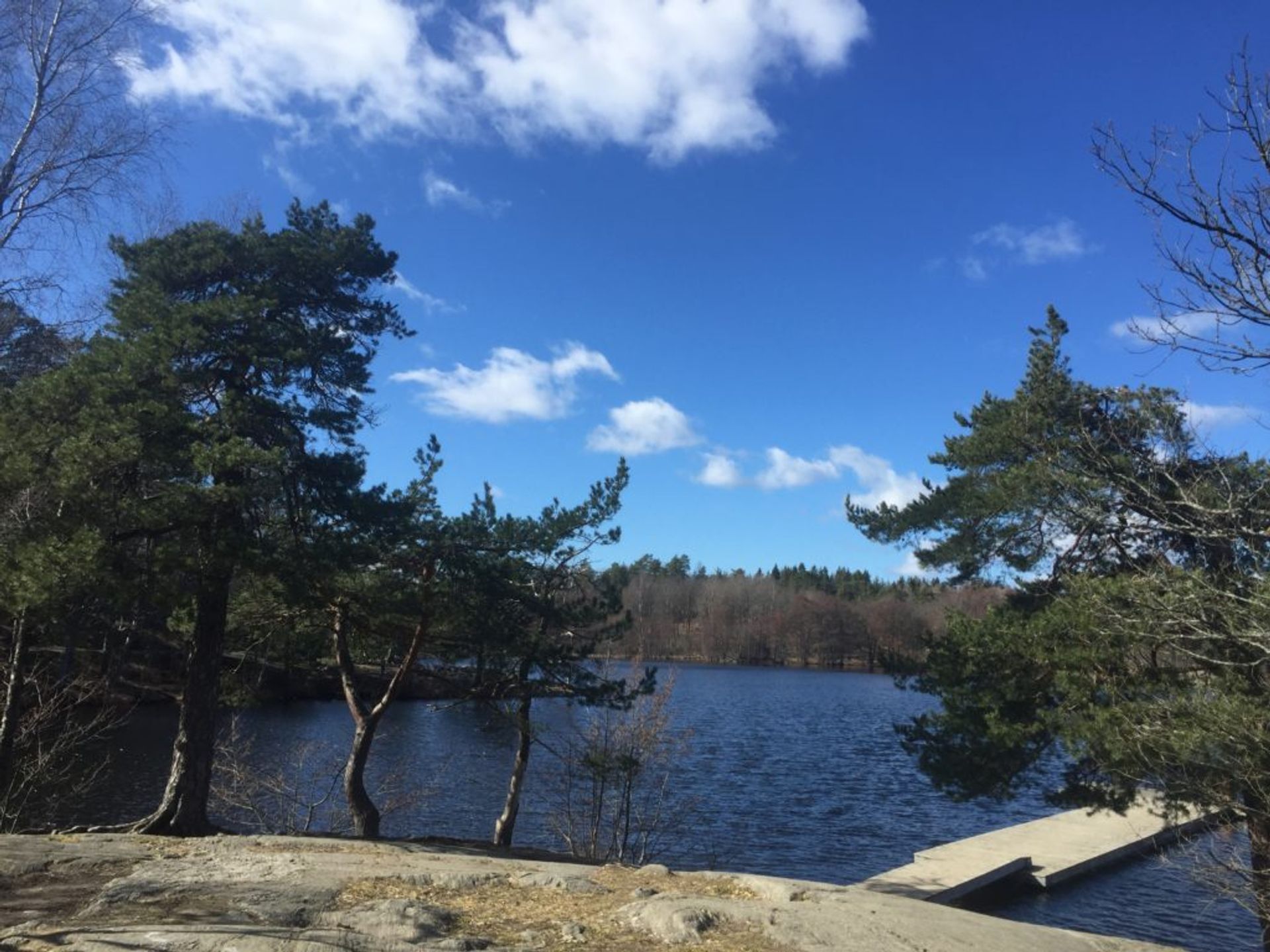 A lake surrounded by trees.