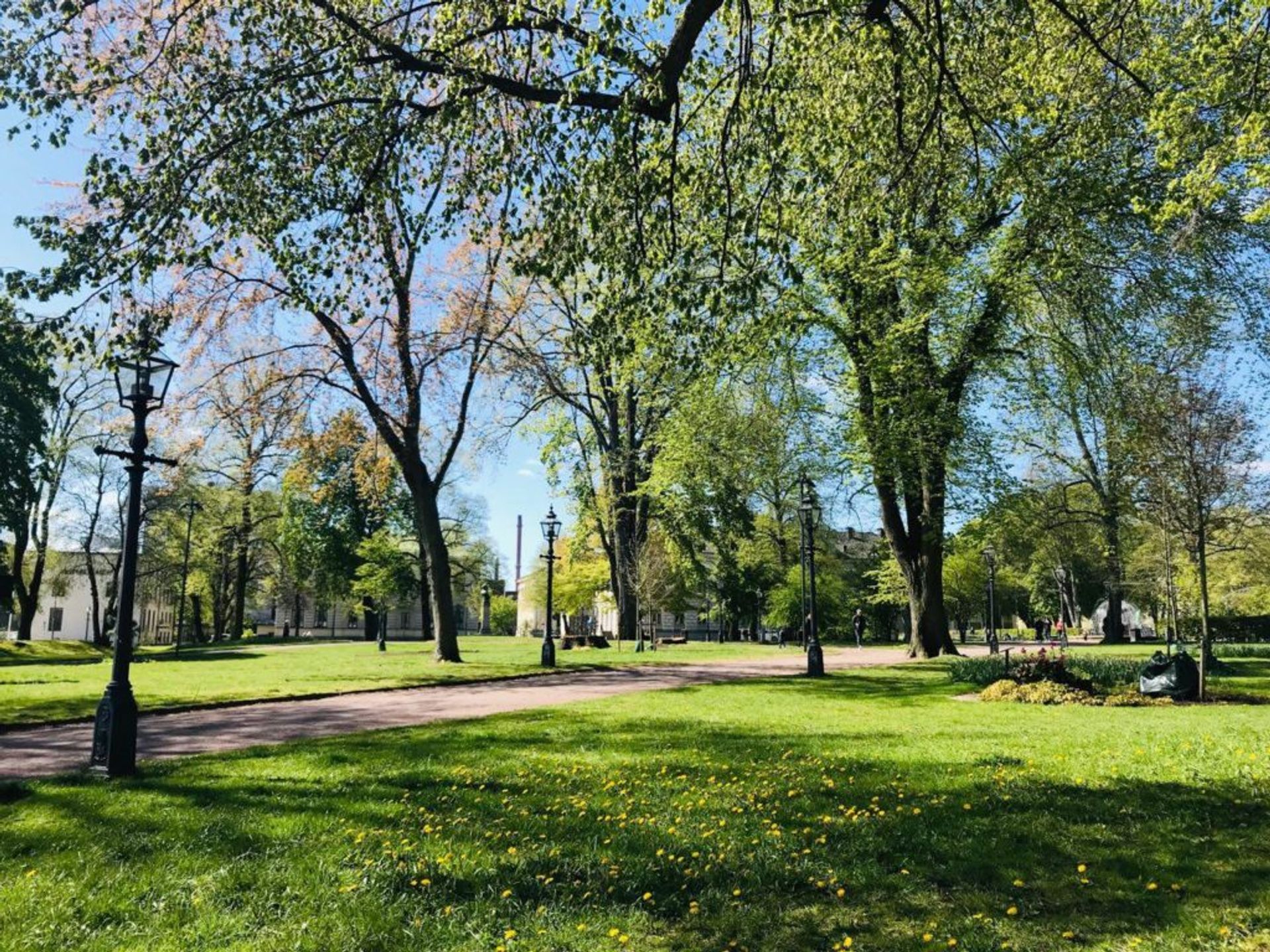 A park in the sunshine.