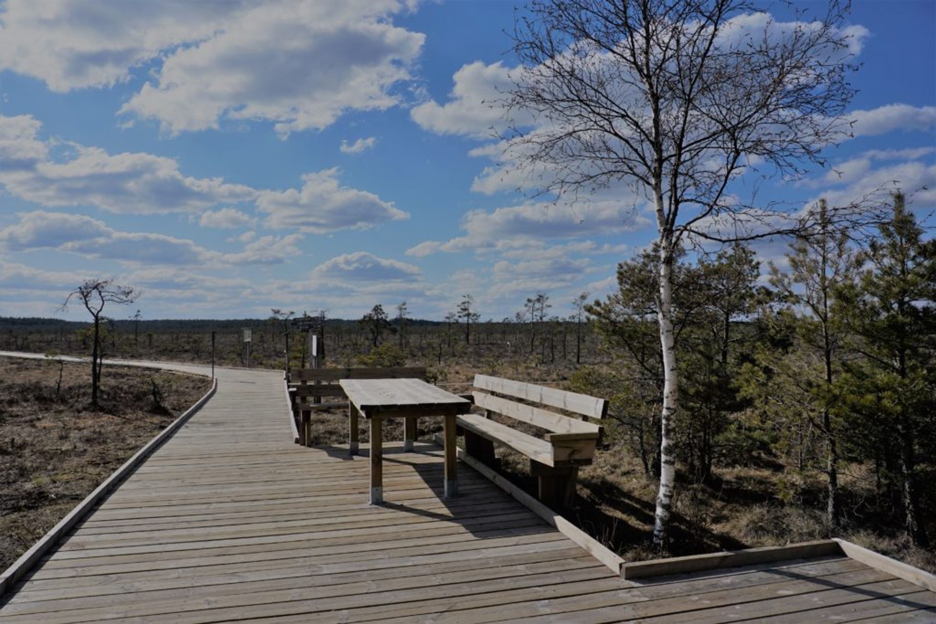 Wooden walkway through a swamp.