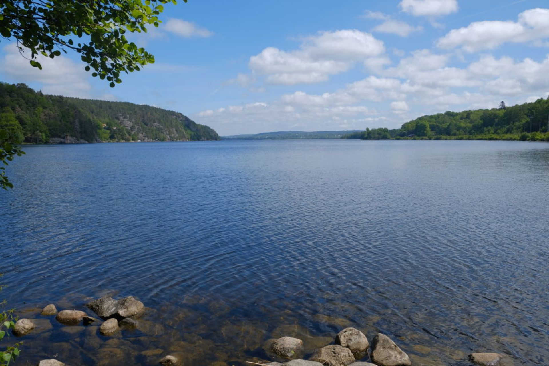 Close-up of a lake.