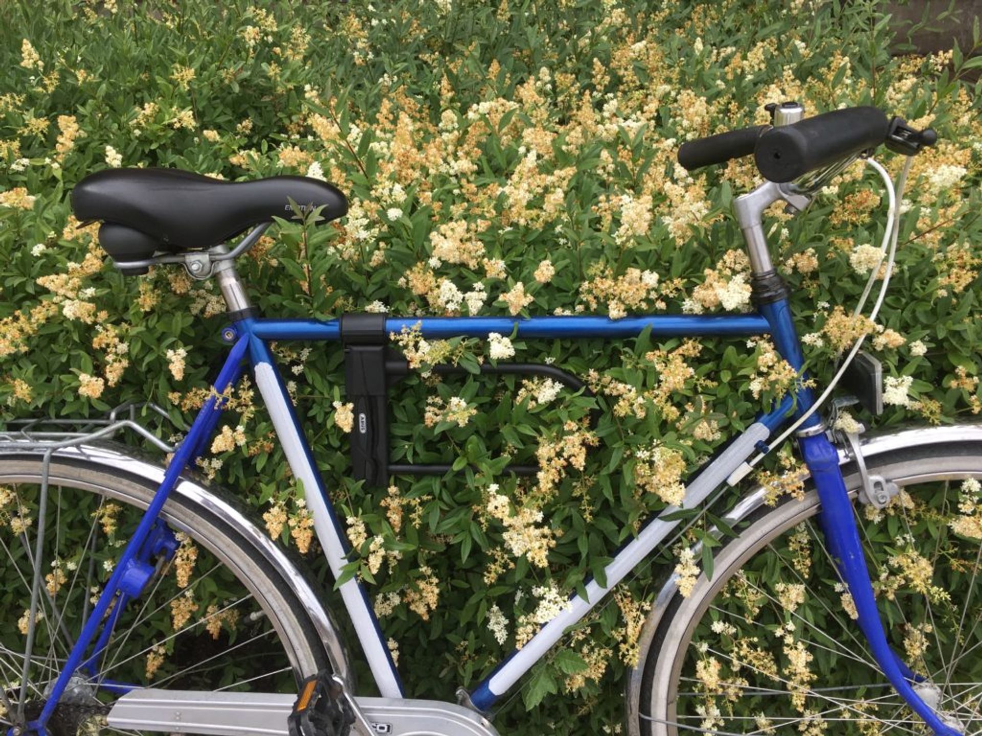 Close-up of a blue bicycle.
