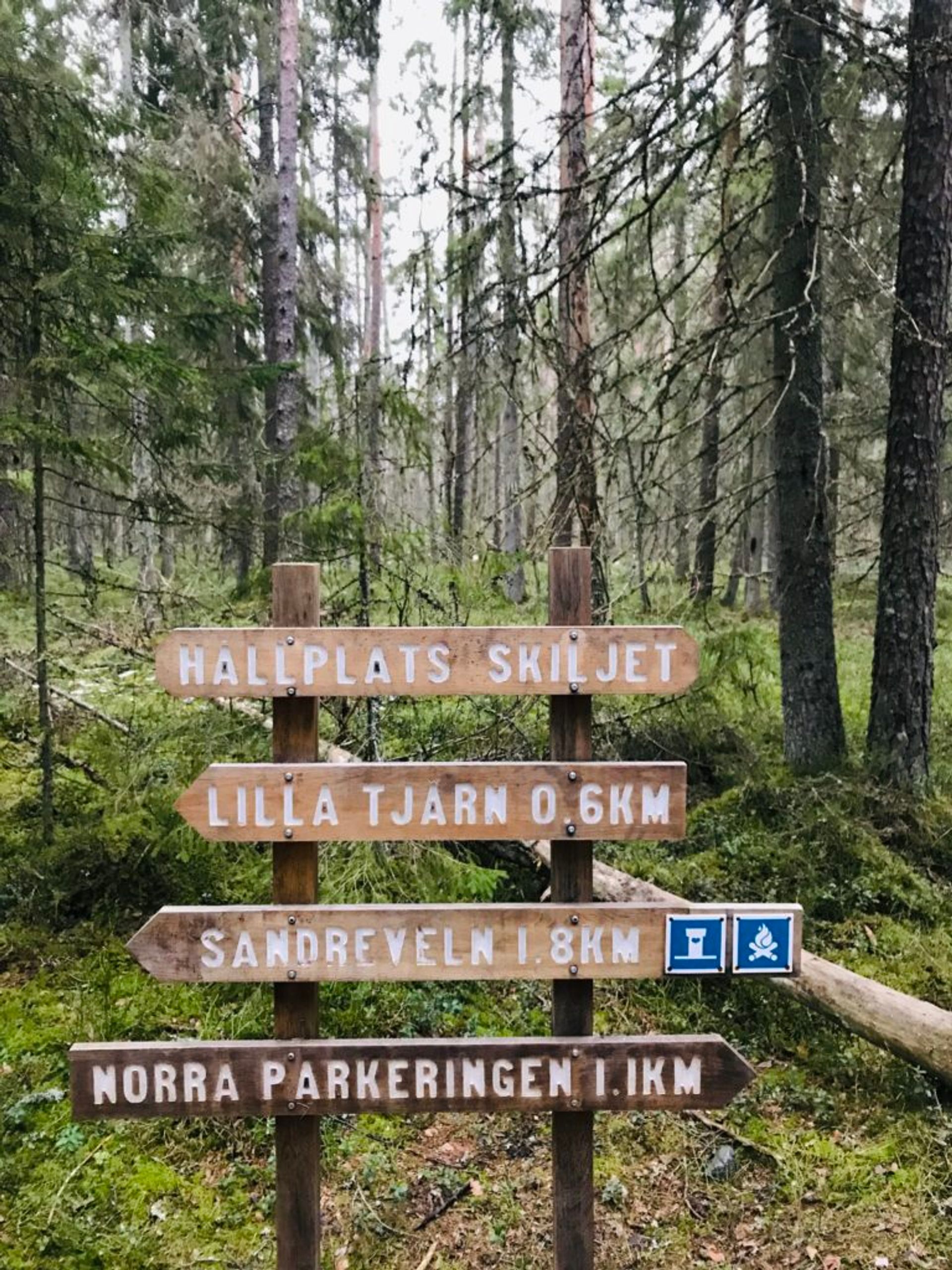 Wooden signs in a forest.