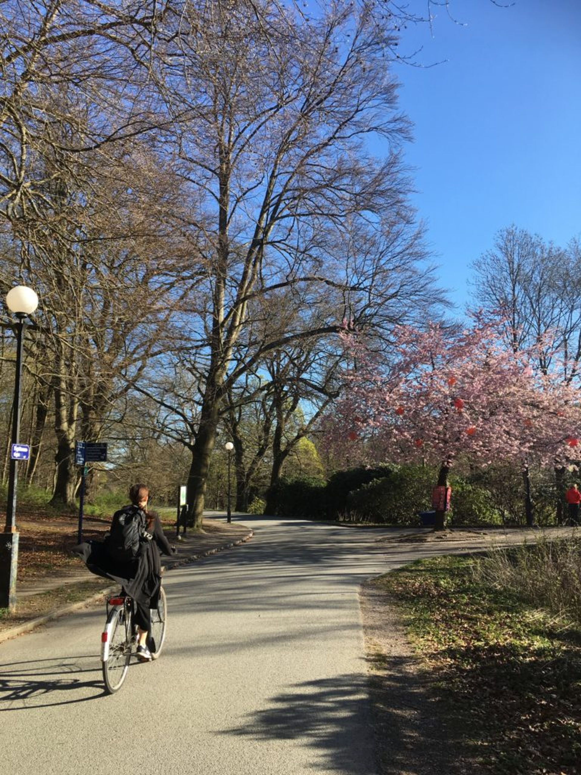 Person cycling through a park.