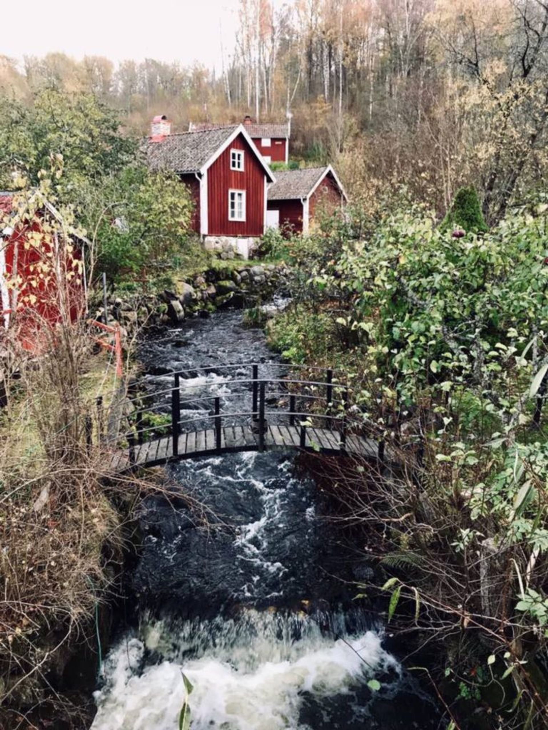 A small footbridge over a river.