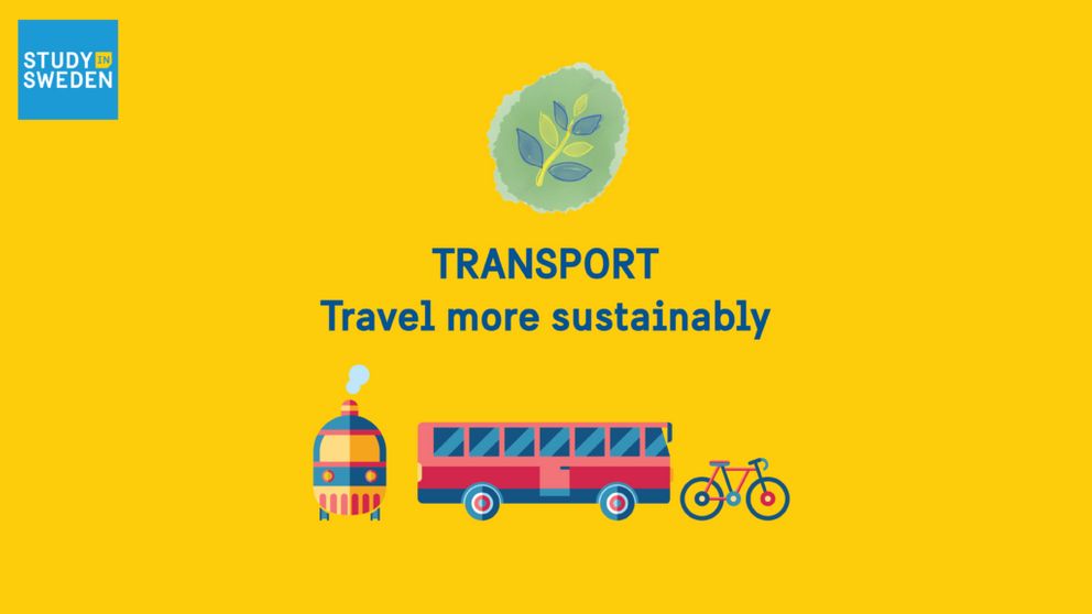 How Much Do YOU Know About Sustainable Transport? - Study In Sweden