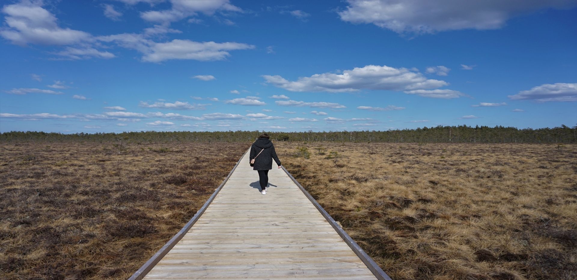 A person walking through a nature reserve.