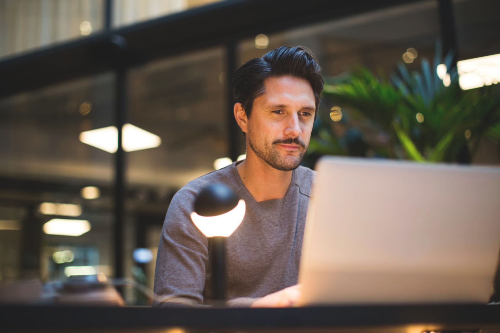 Person looking at a laptop.