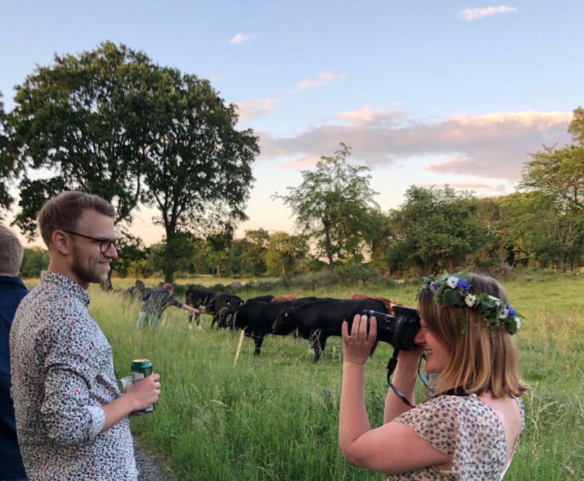 A woman taking a photo of her partner, in rural Sweden near some cows