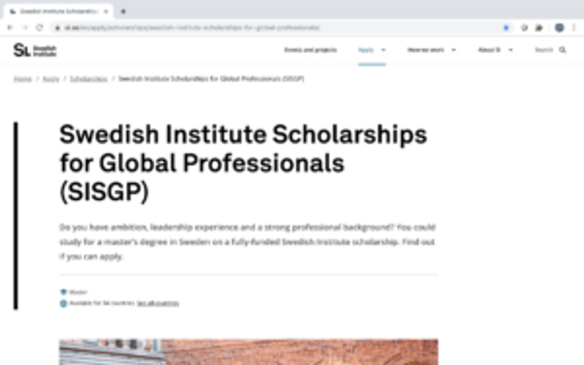 Screenshot of Swedish Institute website.