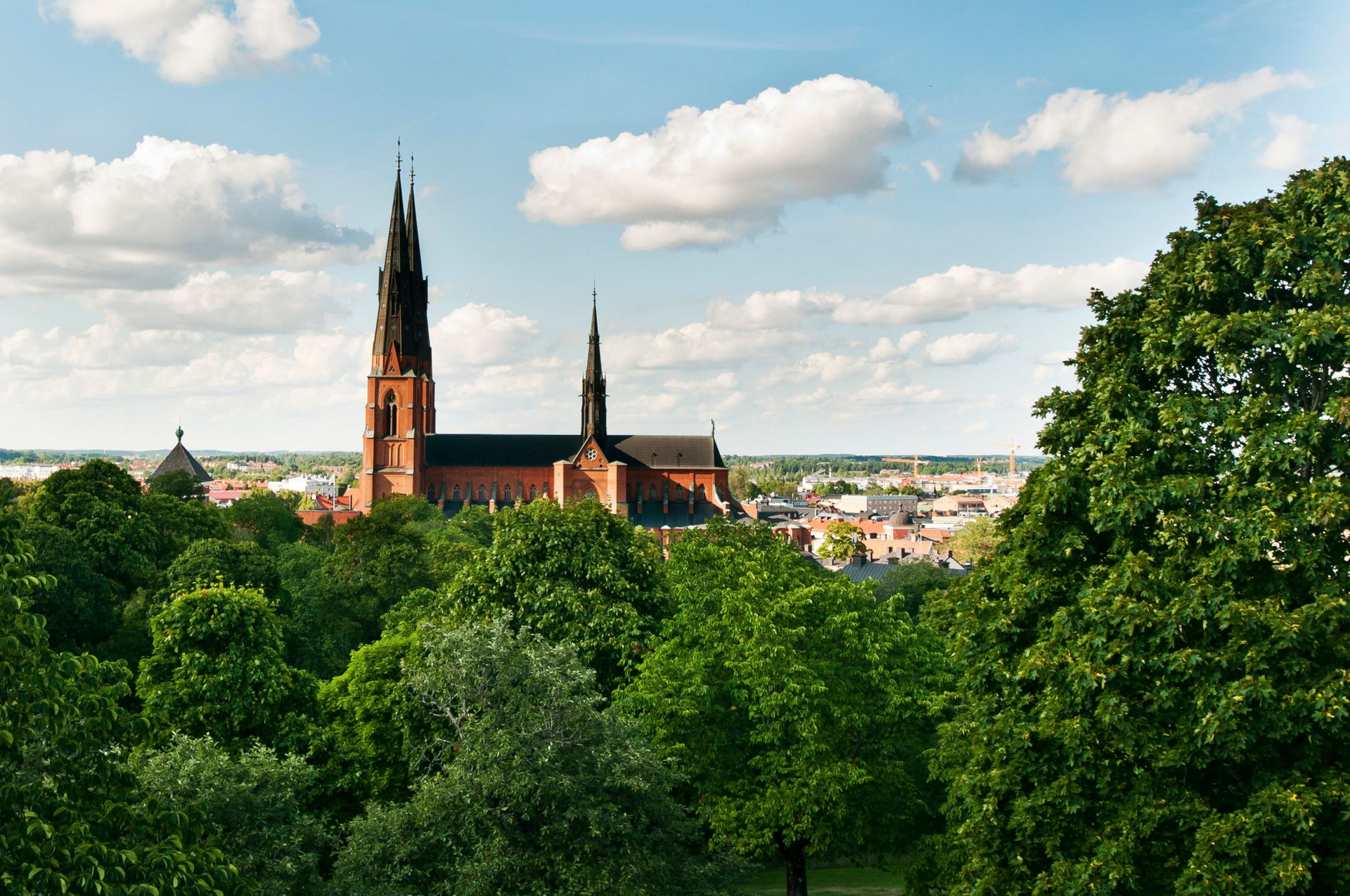 A large, red brick cathedral surrounded by trees.