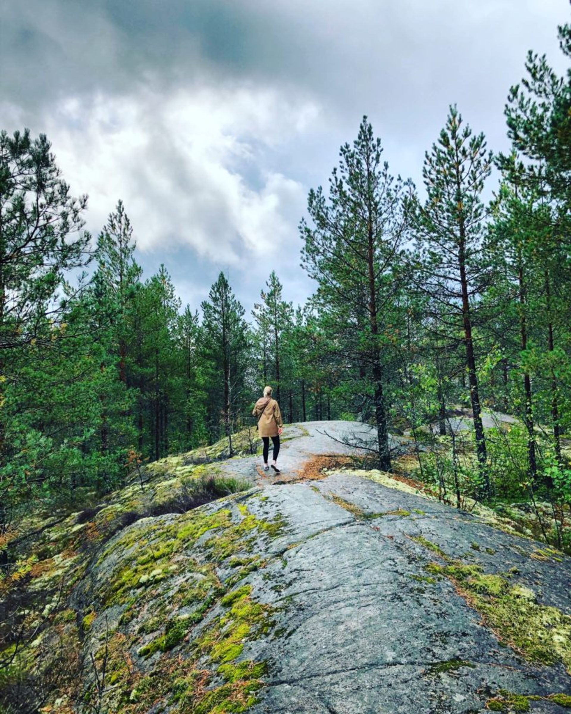 Student walking in a forest.