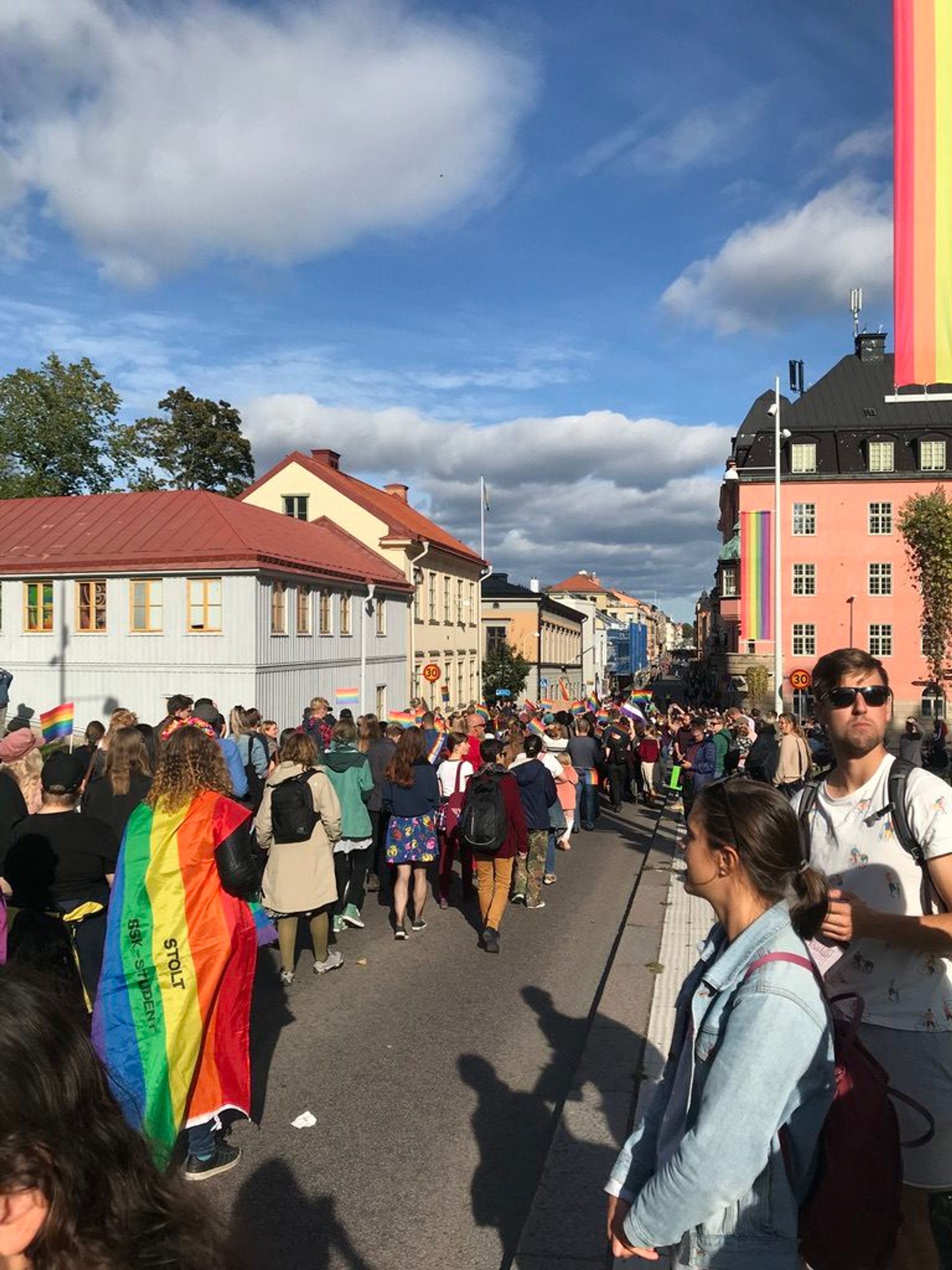 A large group of people walking down a street waving rainbow flags.