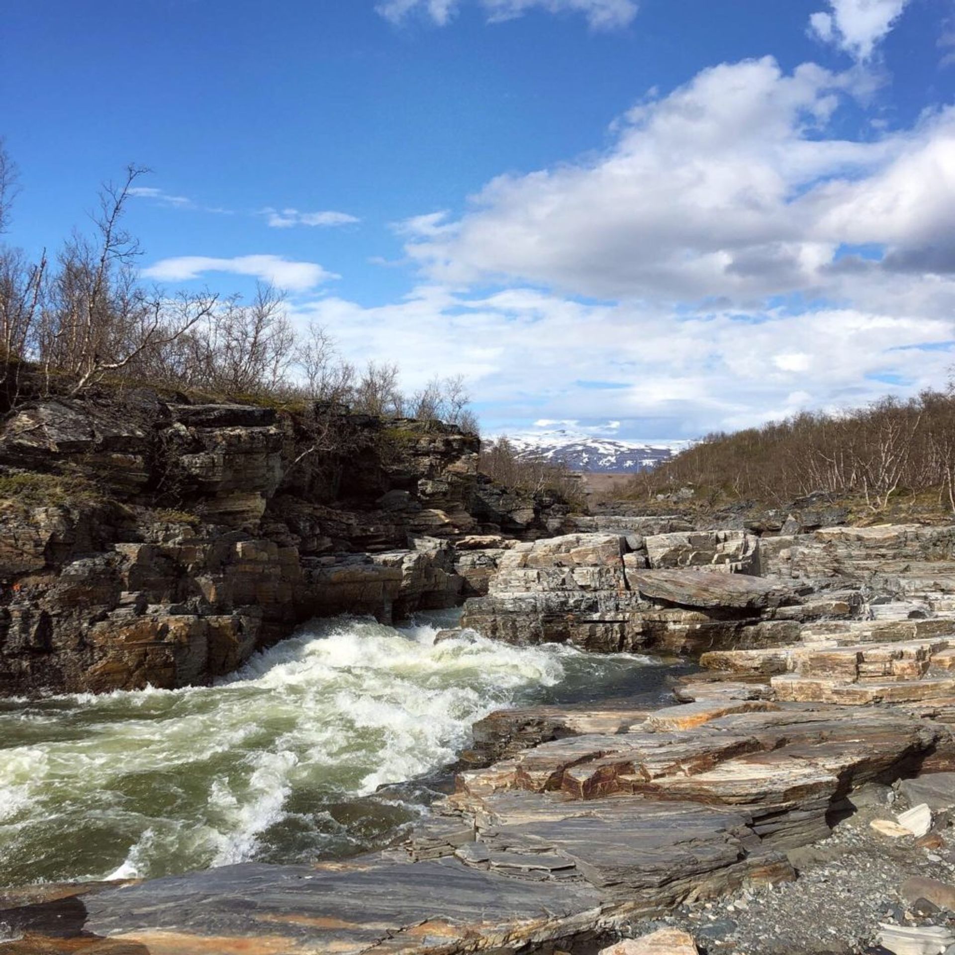 Abisko National Park, June 2019 