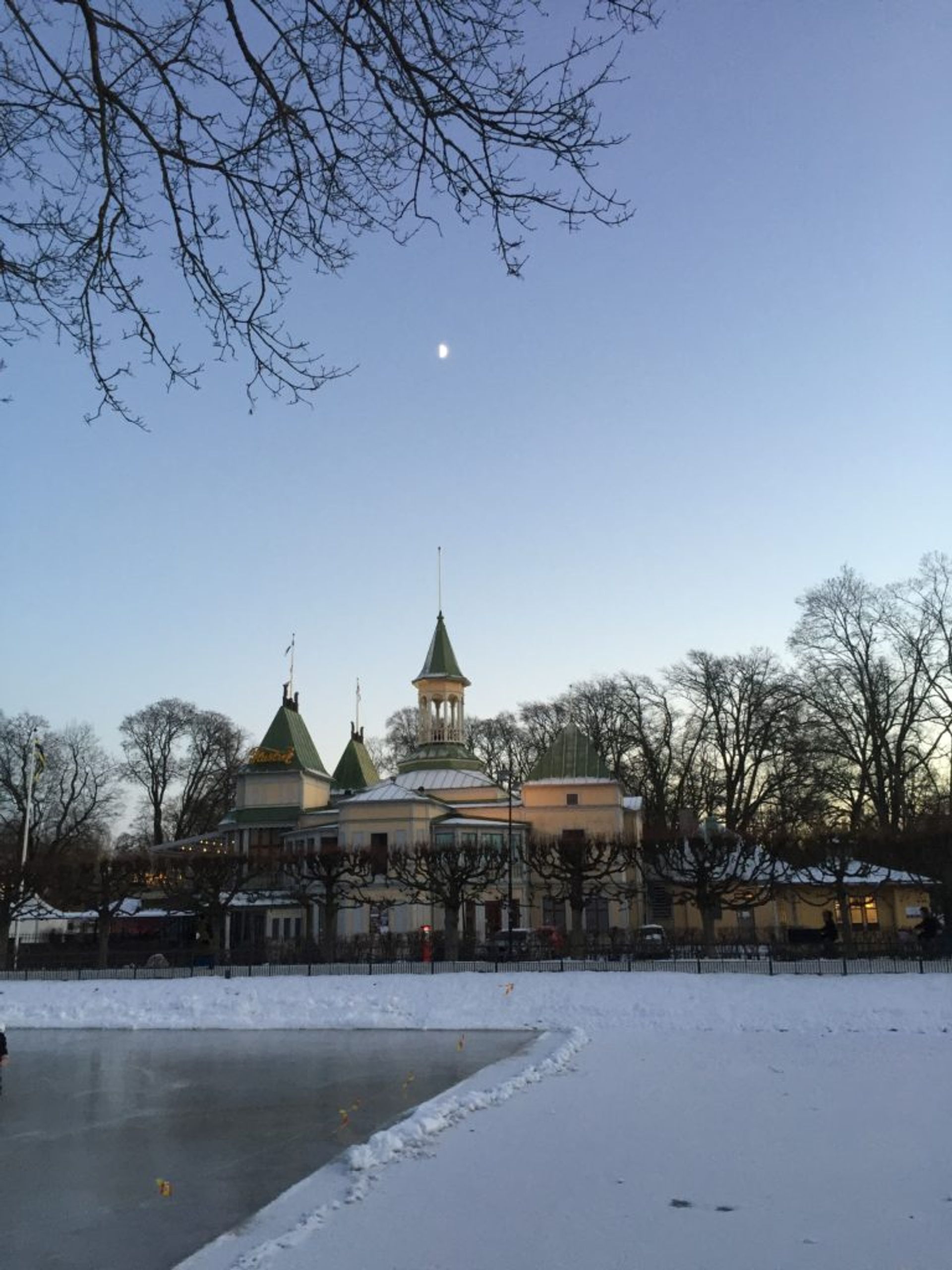 Small frozen lake in Uppsala and the moon