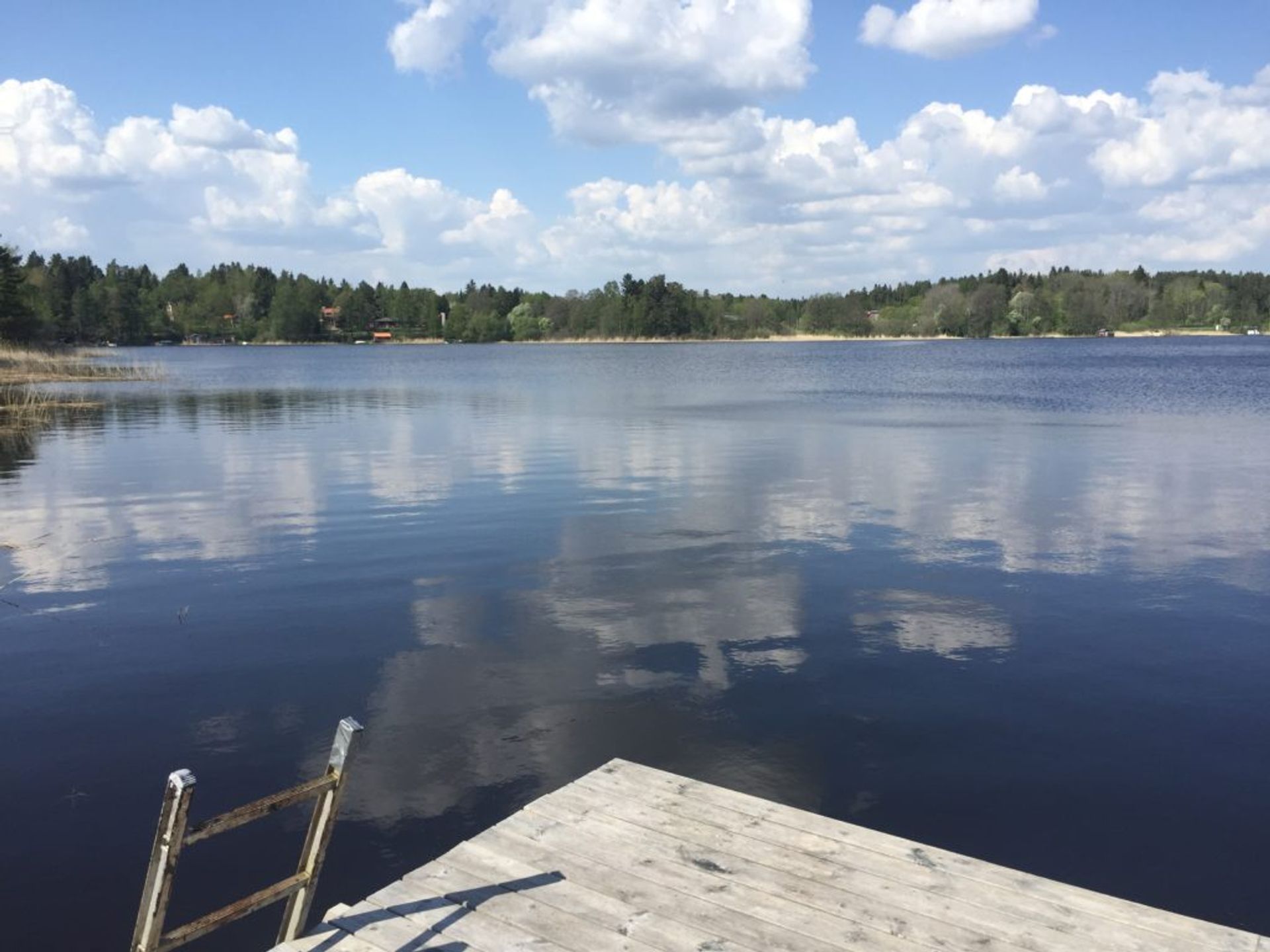 Lake on a sunny day.