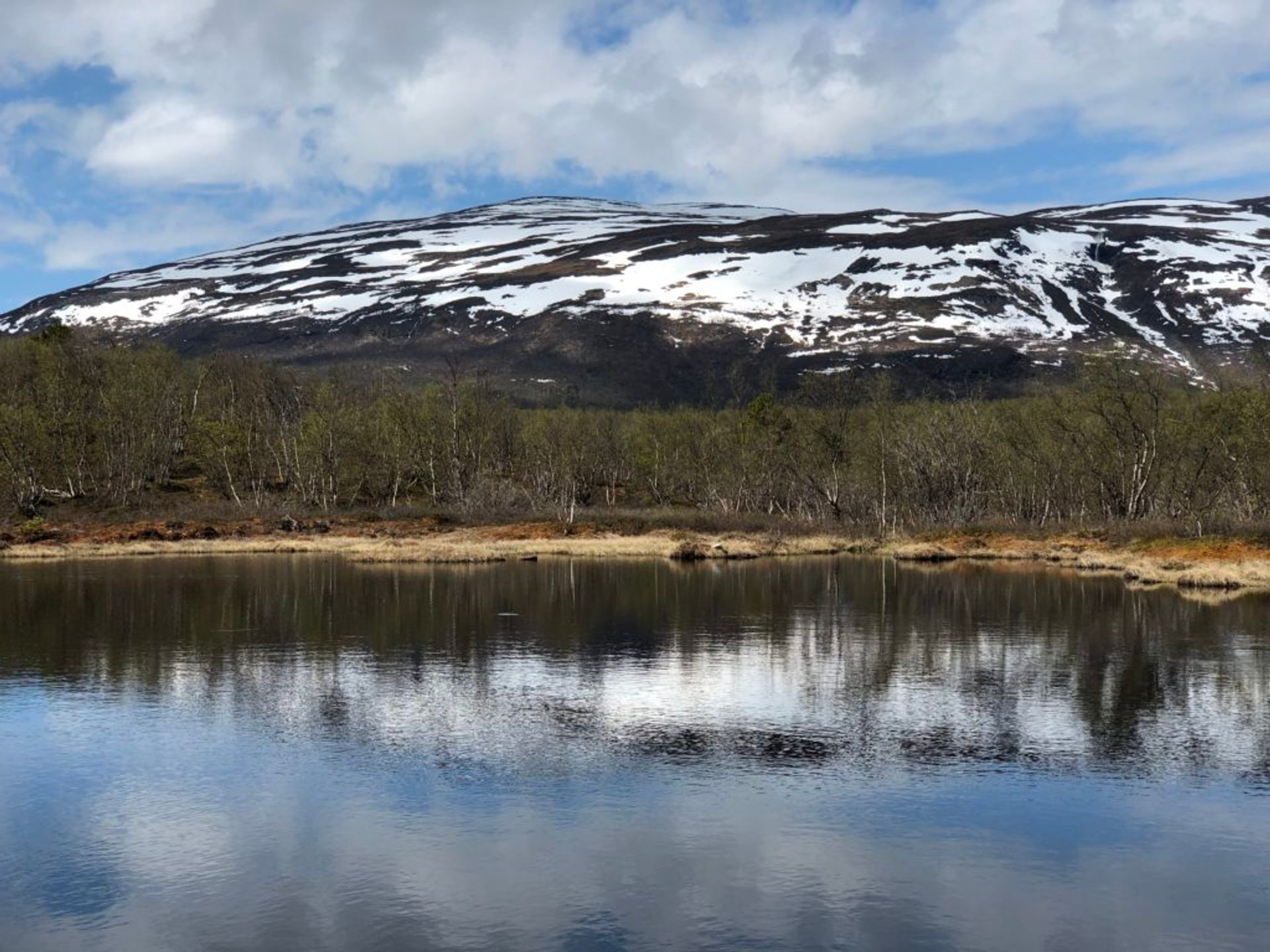 Abisko National Park, June 2019 