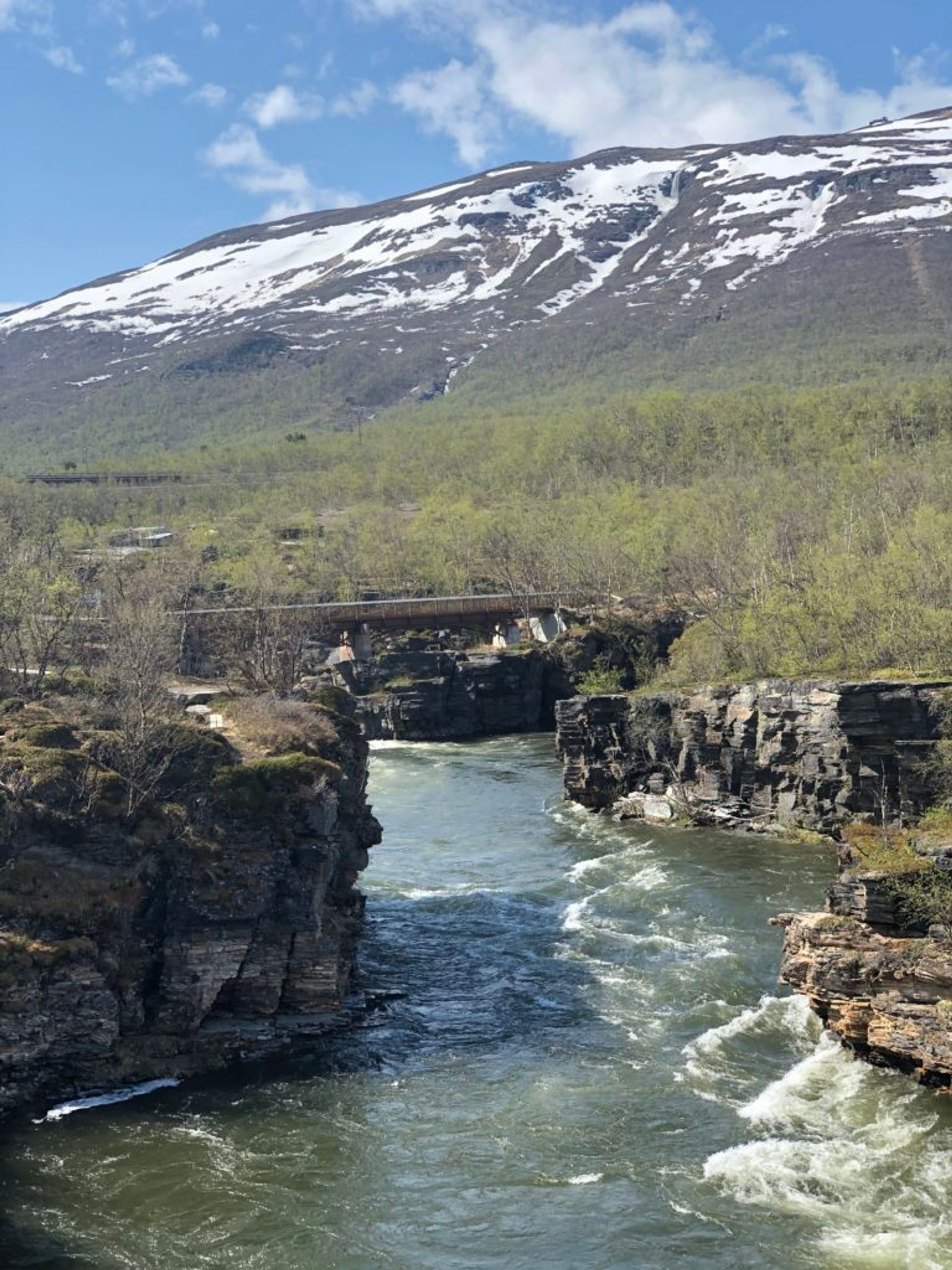 Abisko National Park, June 2019 