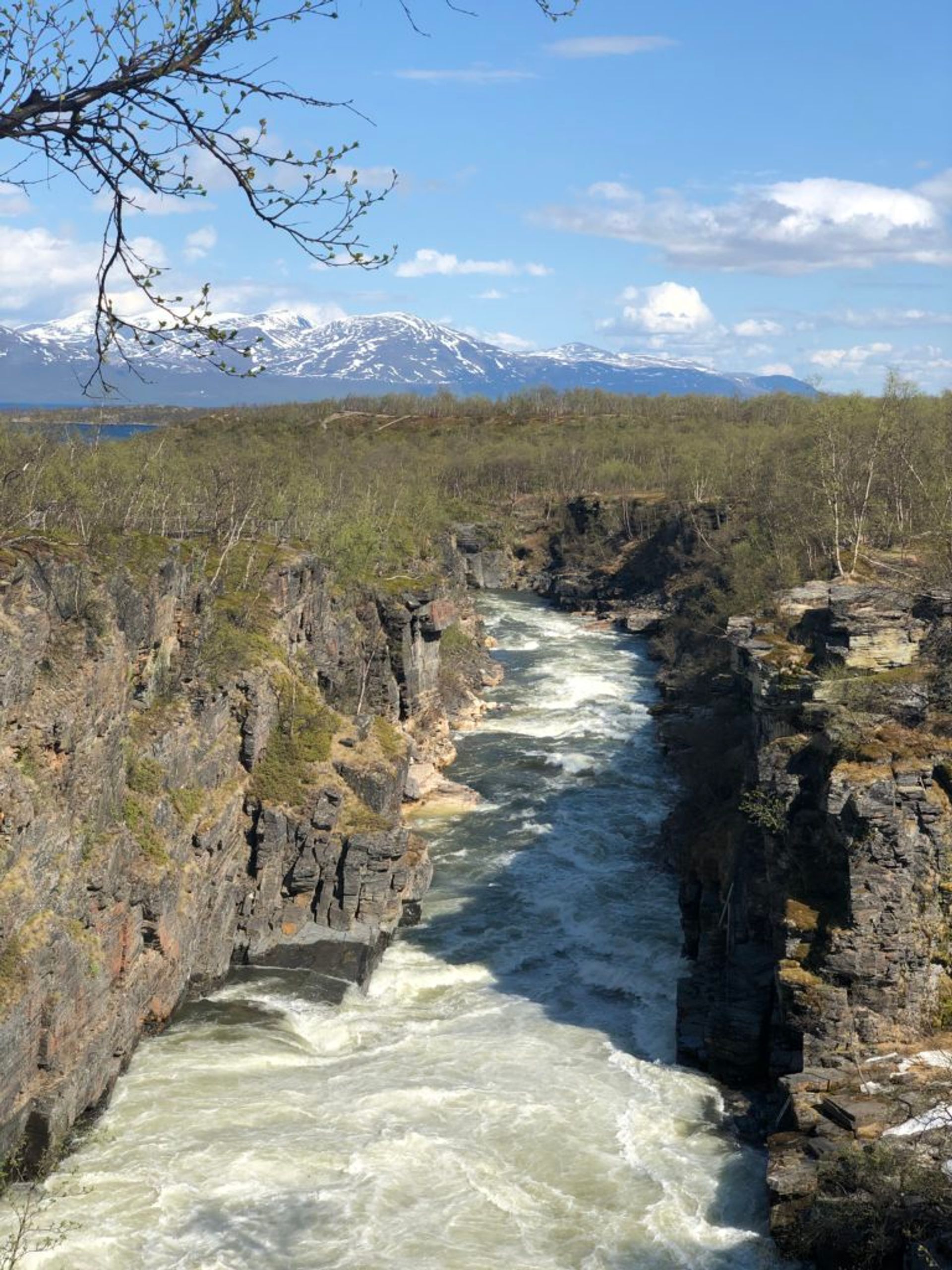 Abisko National Park, June 2019 