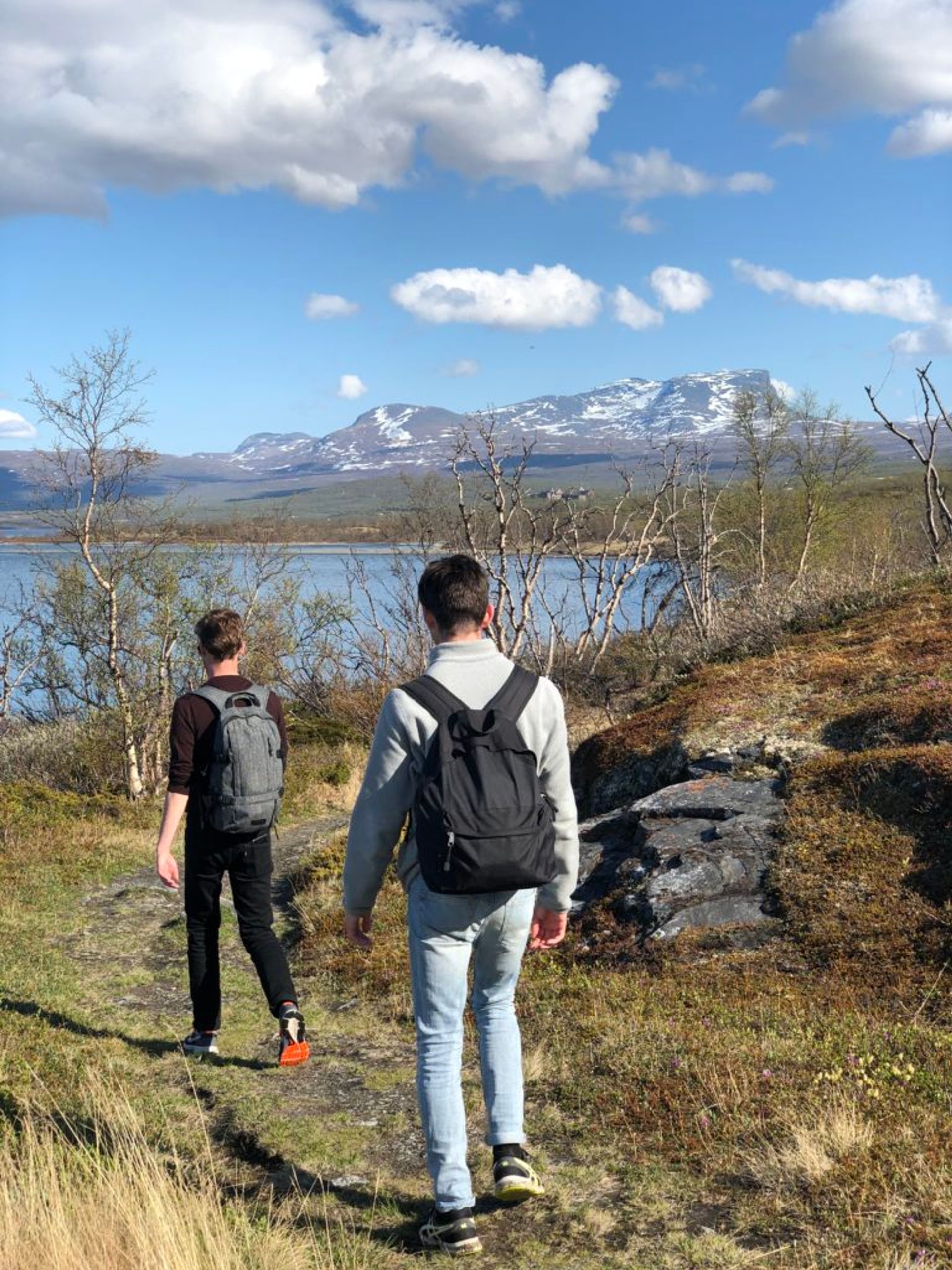 Abisko National Park, June 2019 