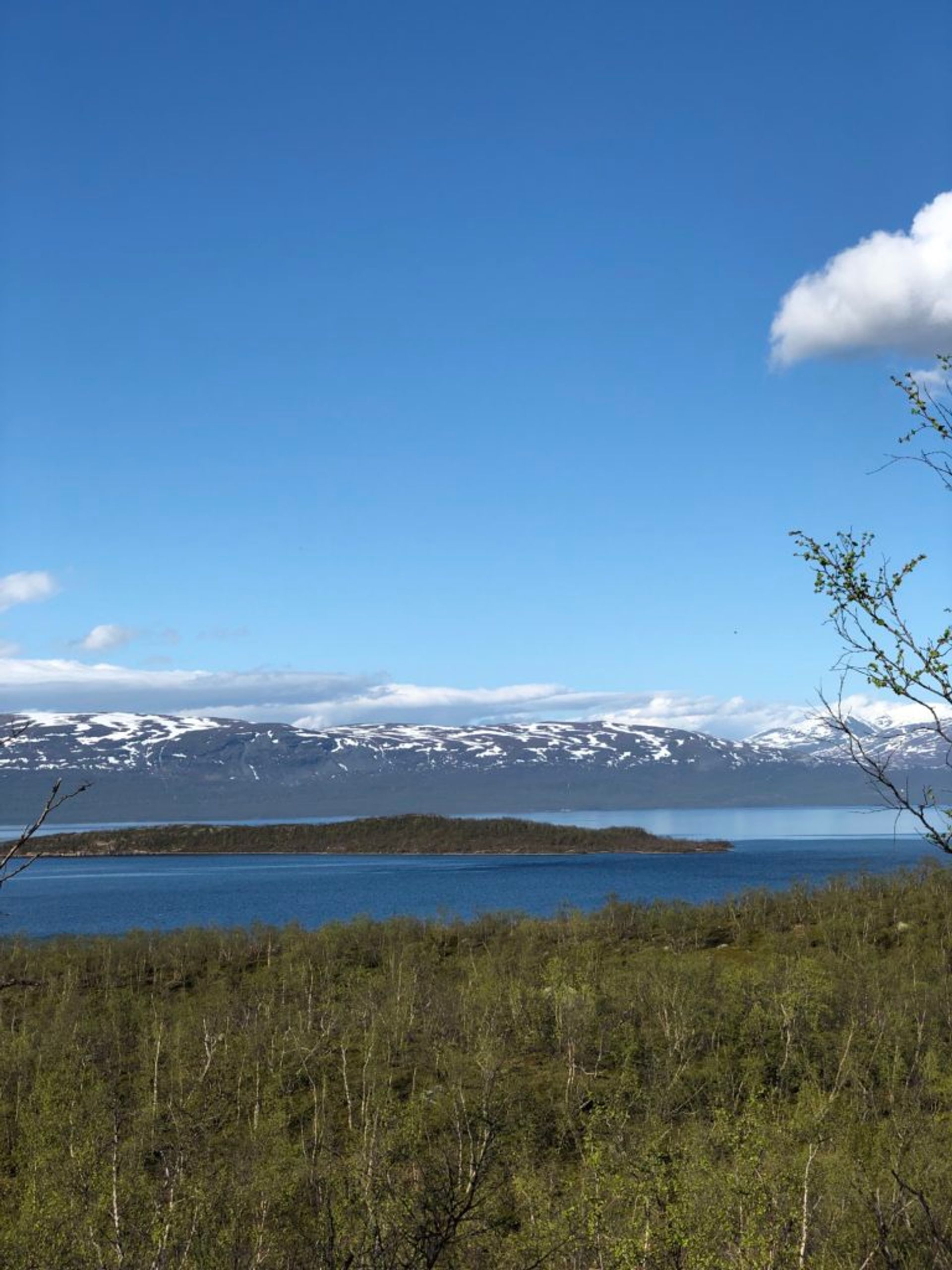 Abisko National Park, June 2019 