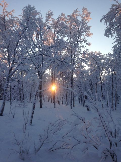 Seasons in Sweden: A Photo Essay - Study in Sweden